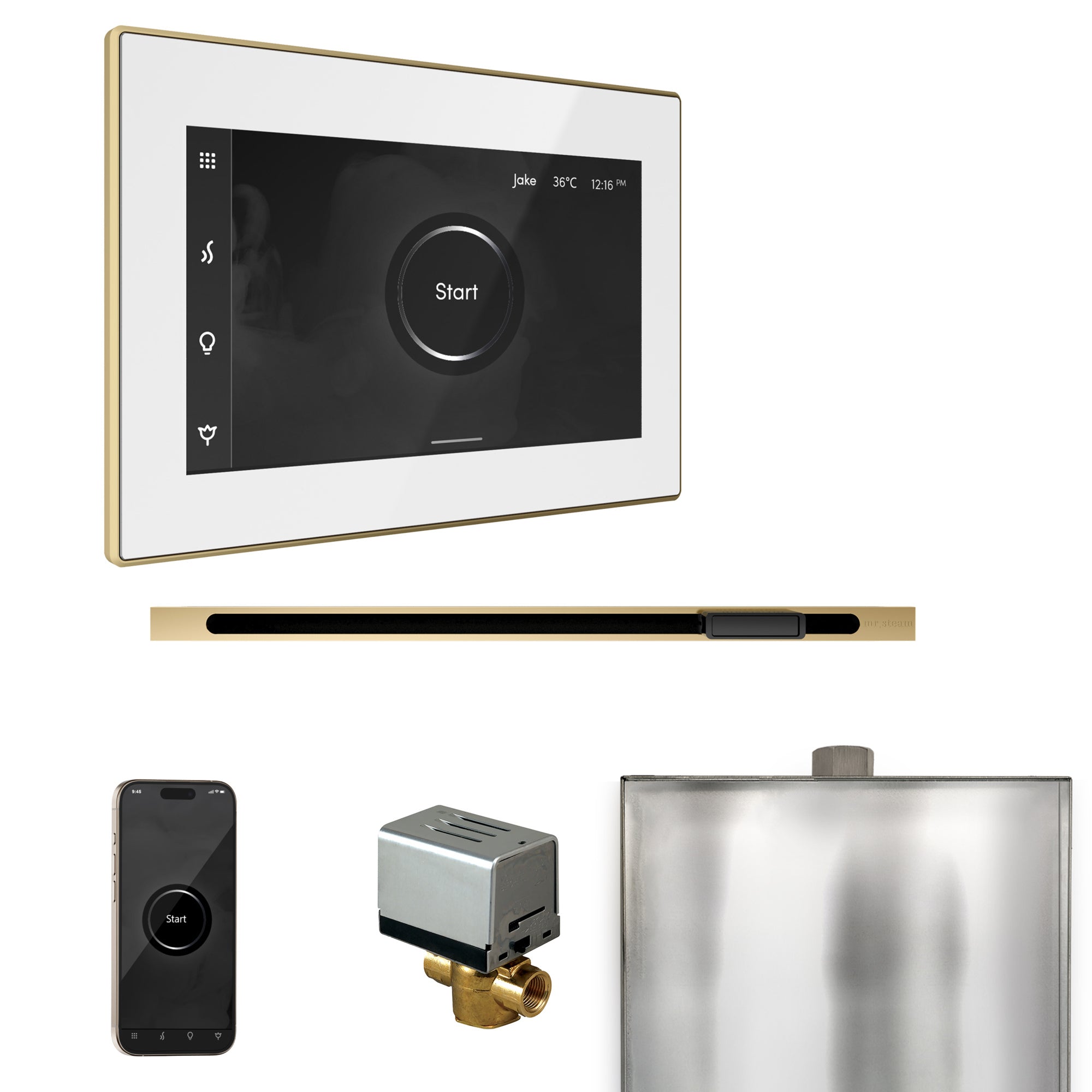 Mr Steam XButler Steam Shower Control Package with iSteamX Control and Linear Steamhead