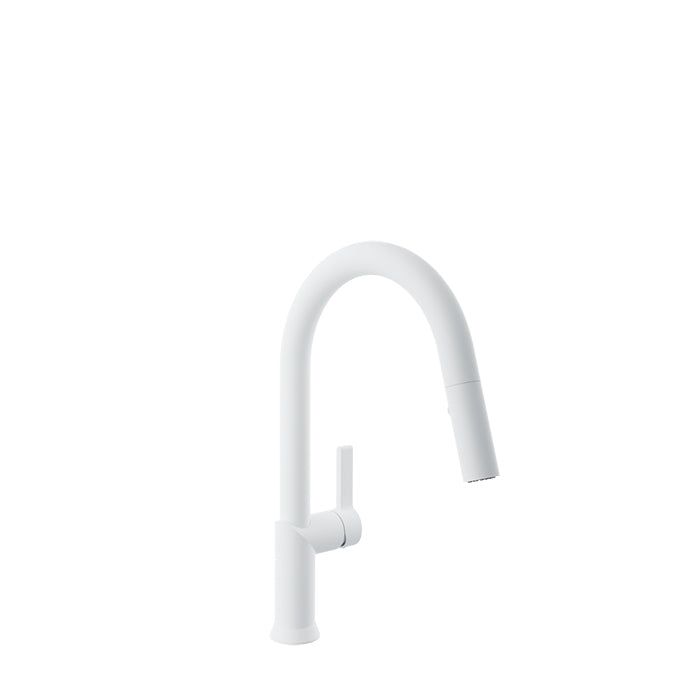 Baril Vision Single Hole Kitchen Faucet with 2-Function Pull-Down Spray