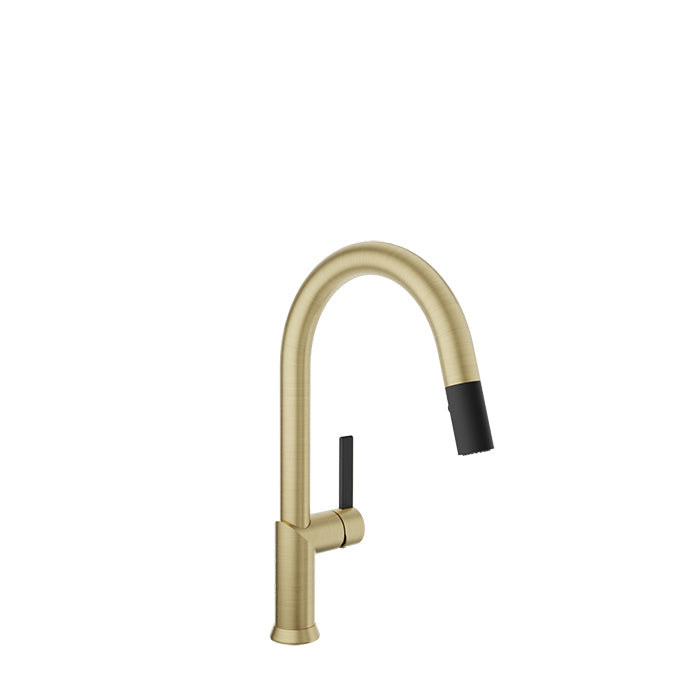 Baril Vision Single Hole Kitchen Faucet with 2-Function Pull-Down Spray