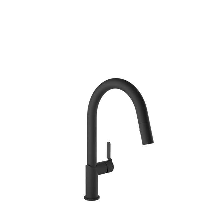 Baril Vision Single Hole Kitchen Faucet with 2-Function Pull-Down Spray