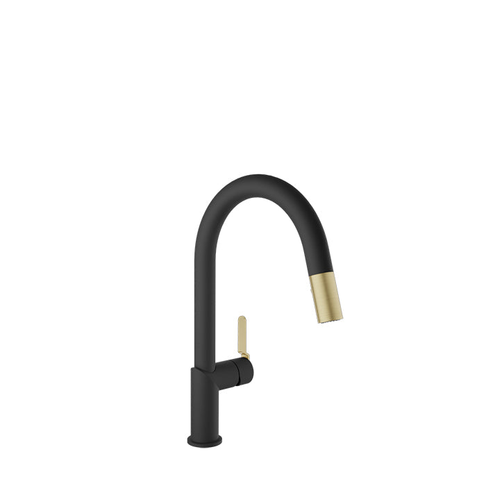 Baril Vision Single Hole Kitchen Faucet with 2-Function Pull-Down Spray