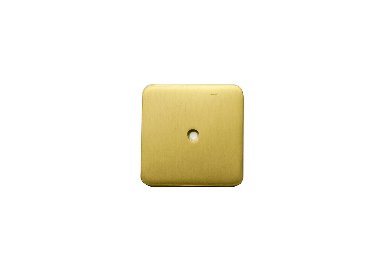 satin brass bak