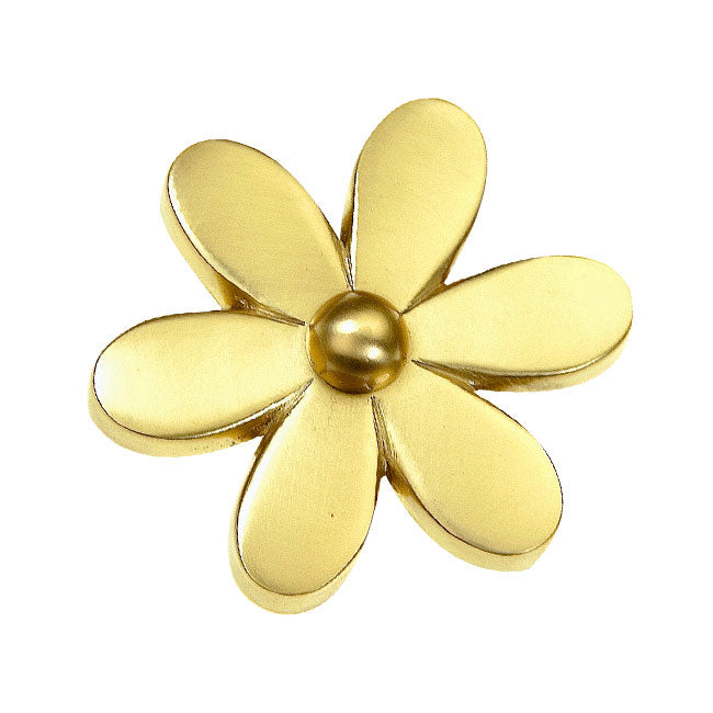 satin brass knob