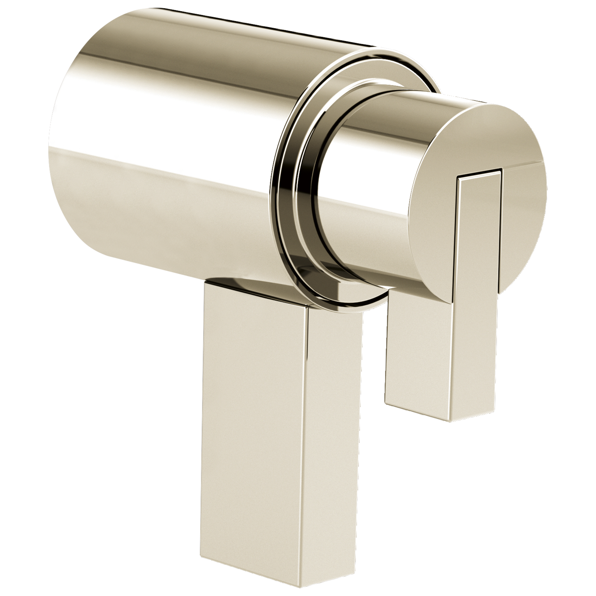 polished nickel handle kit