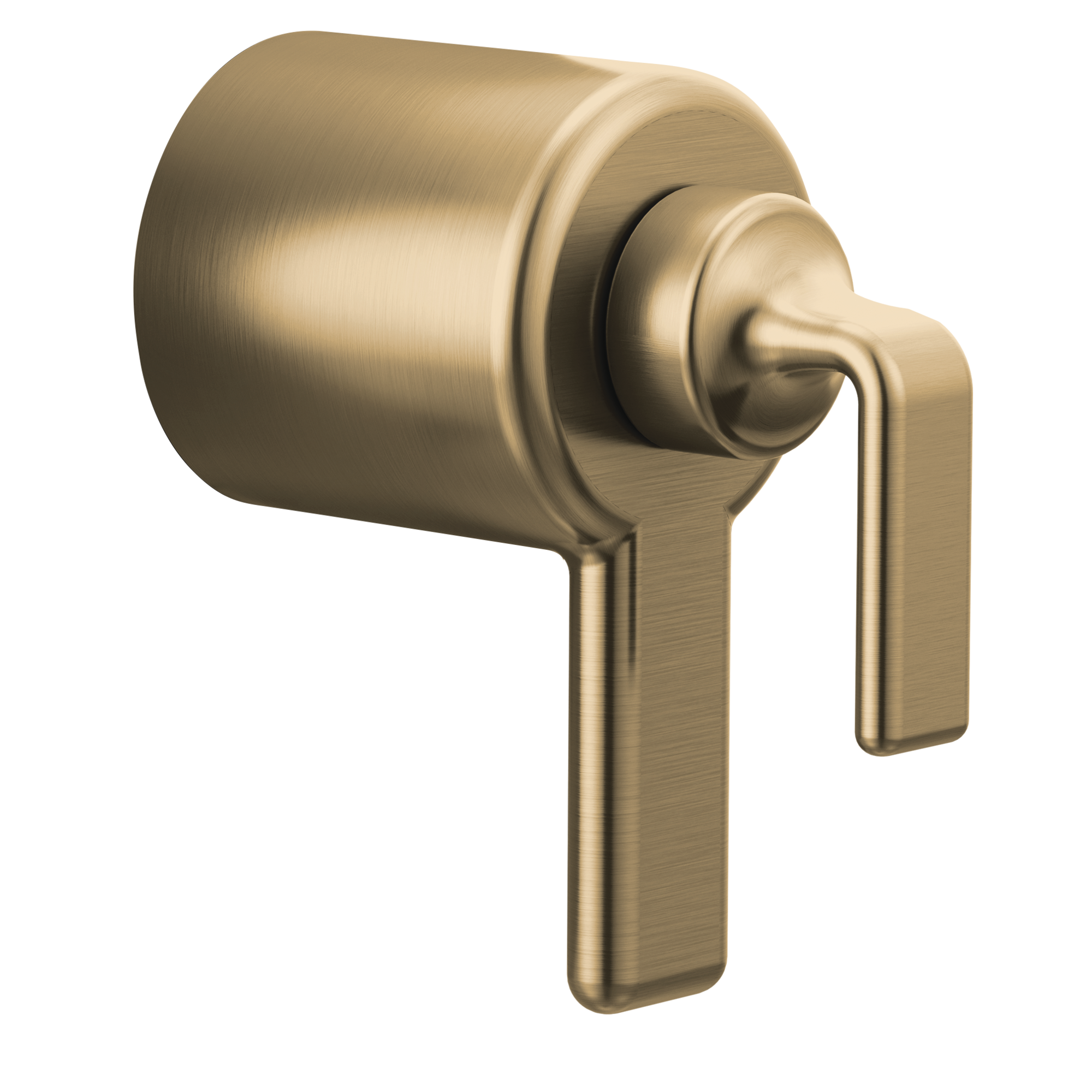 luxe gold handle kit