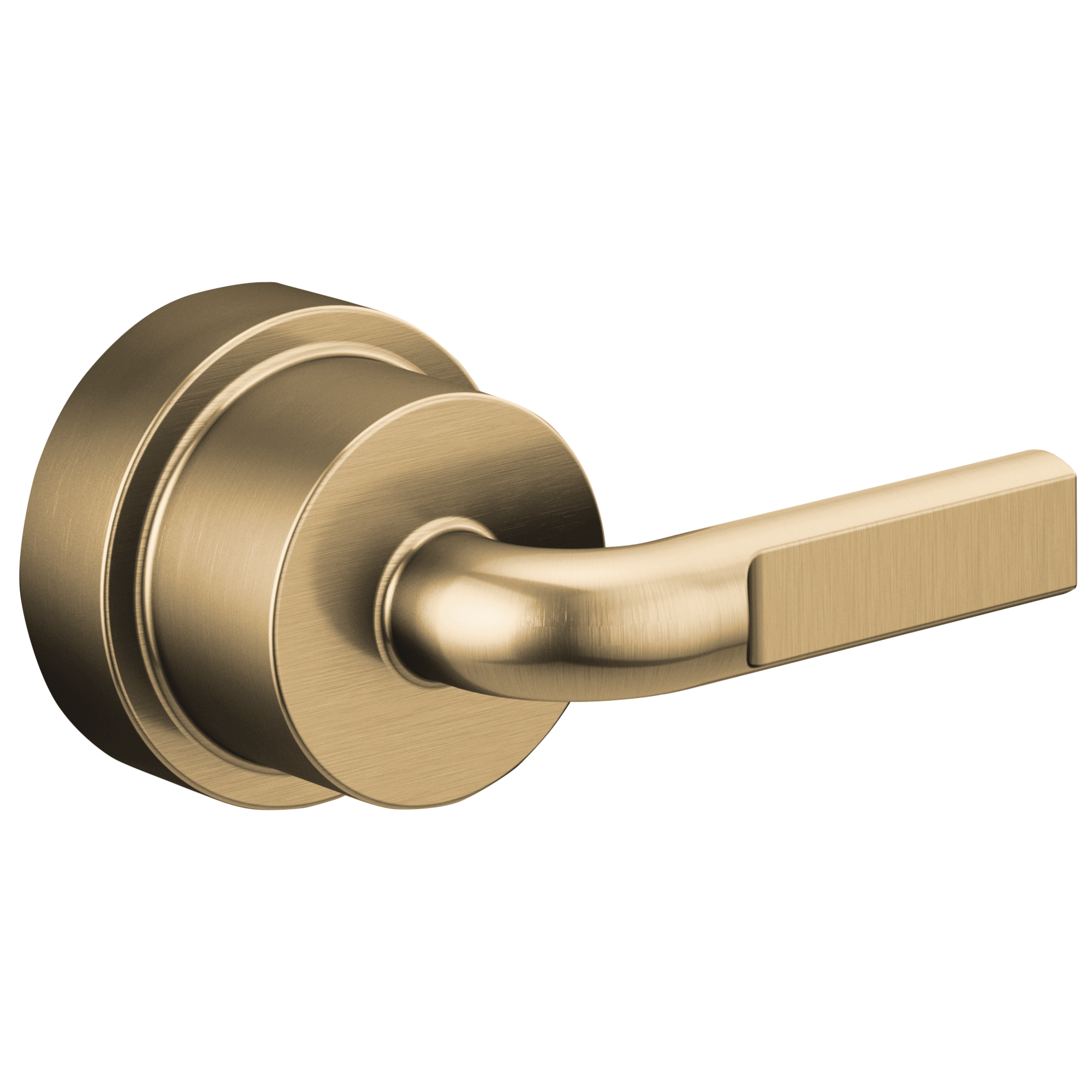 luxe gold handle kit