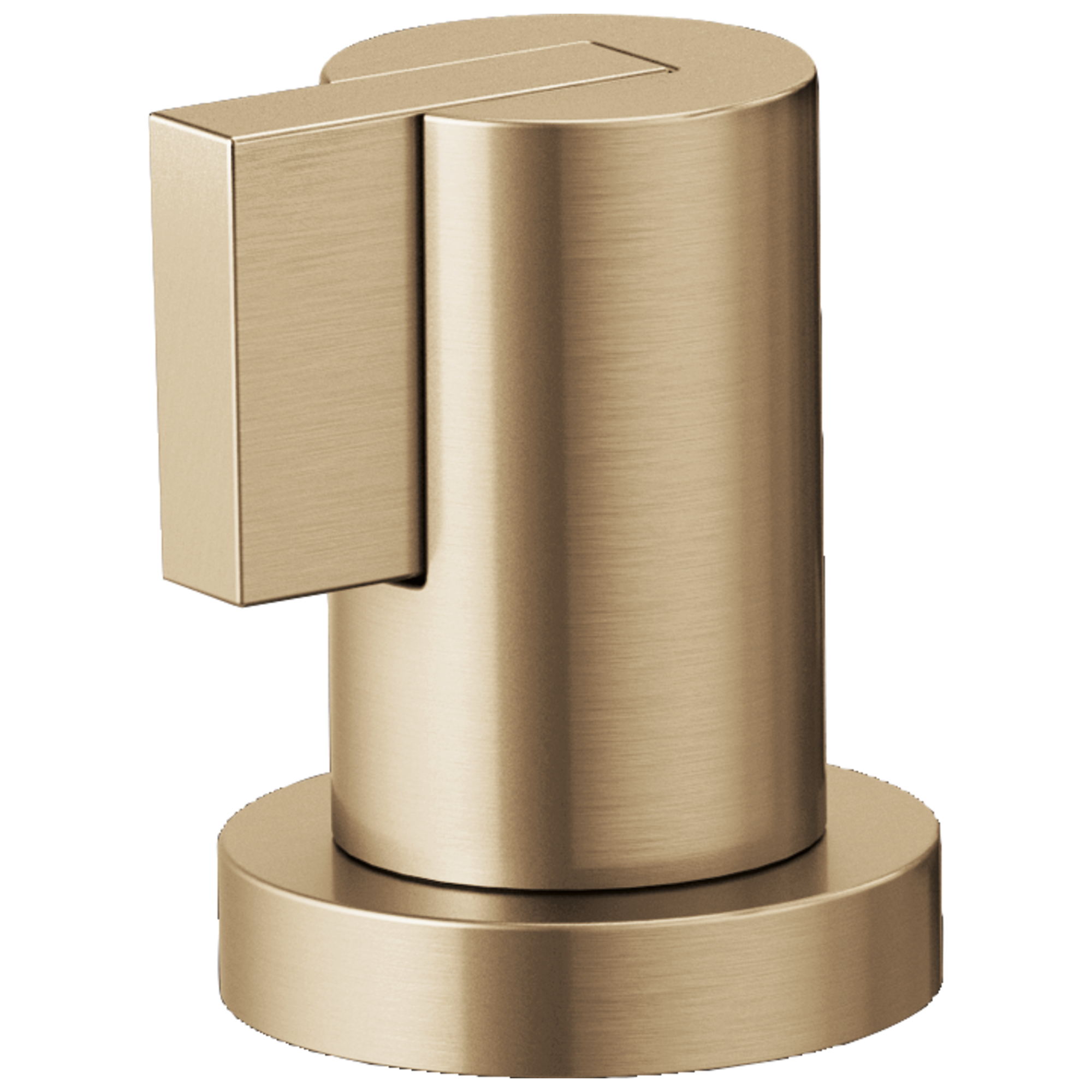luxe gold handle kit