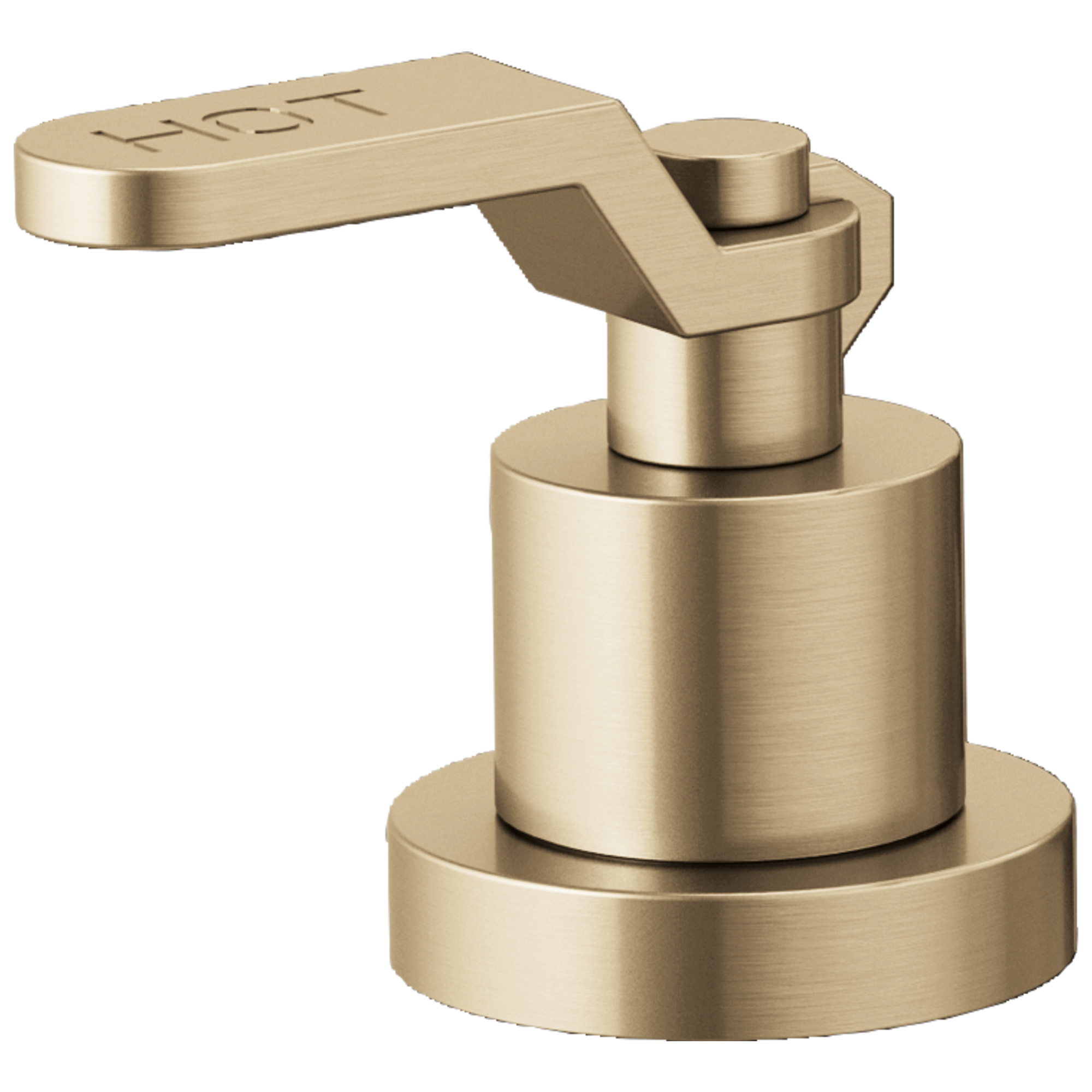 luxe gold handle kit