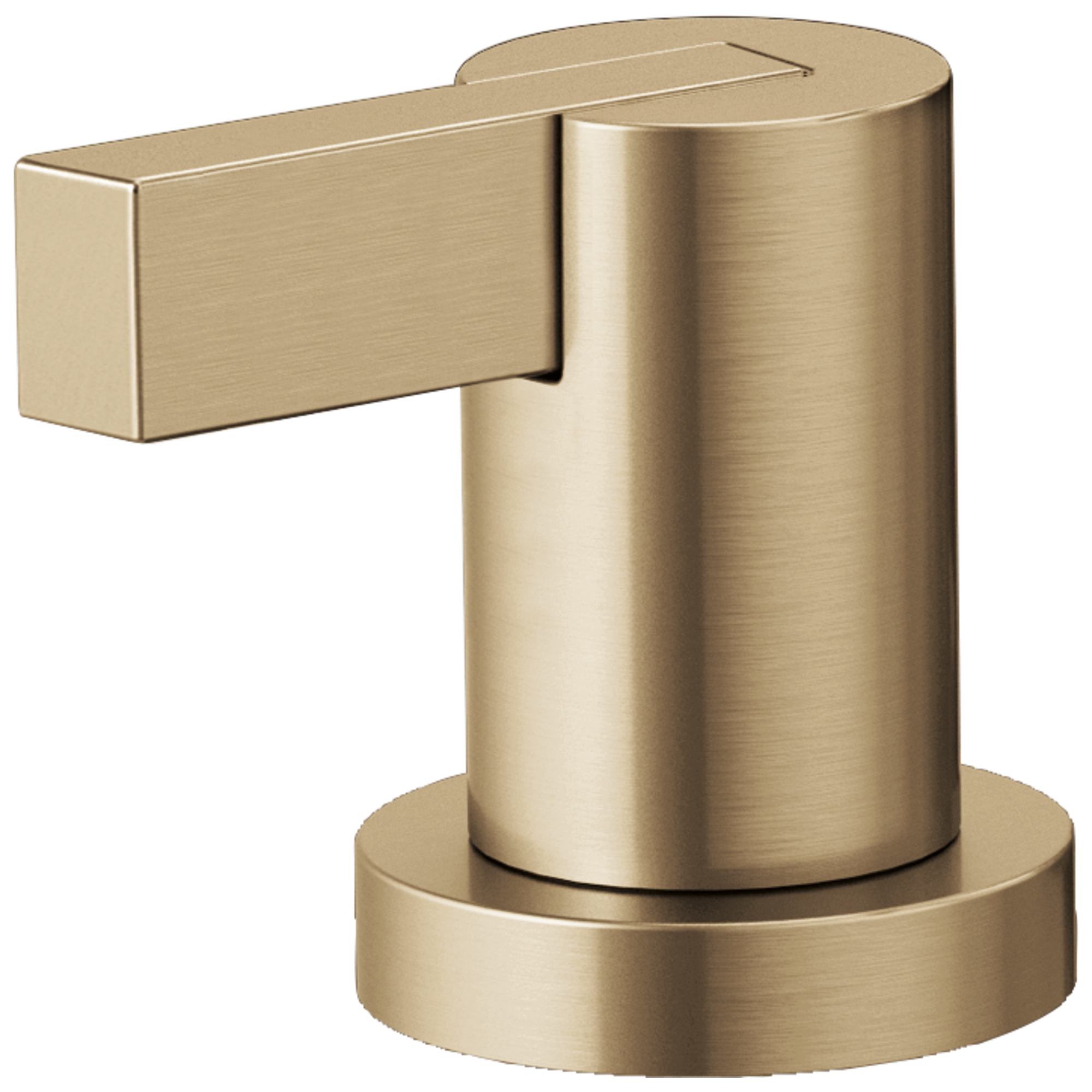 luxe gold handle kit