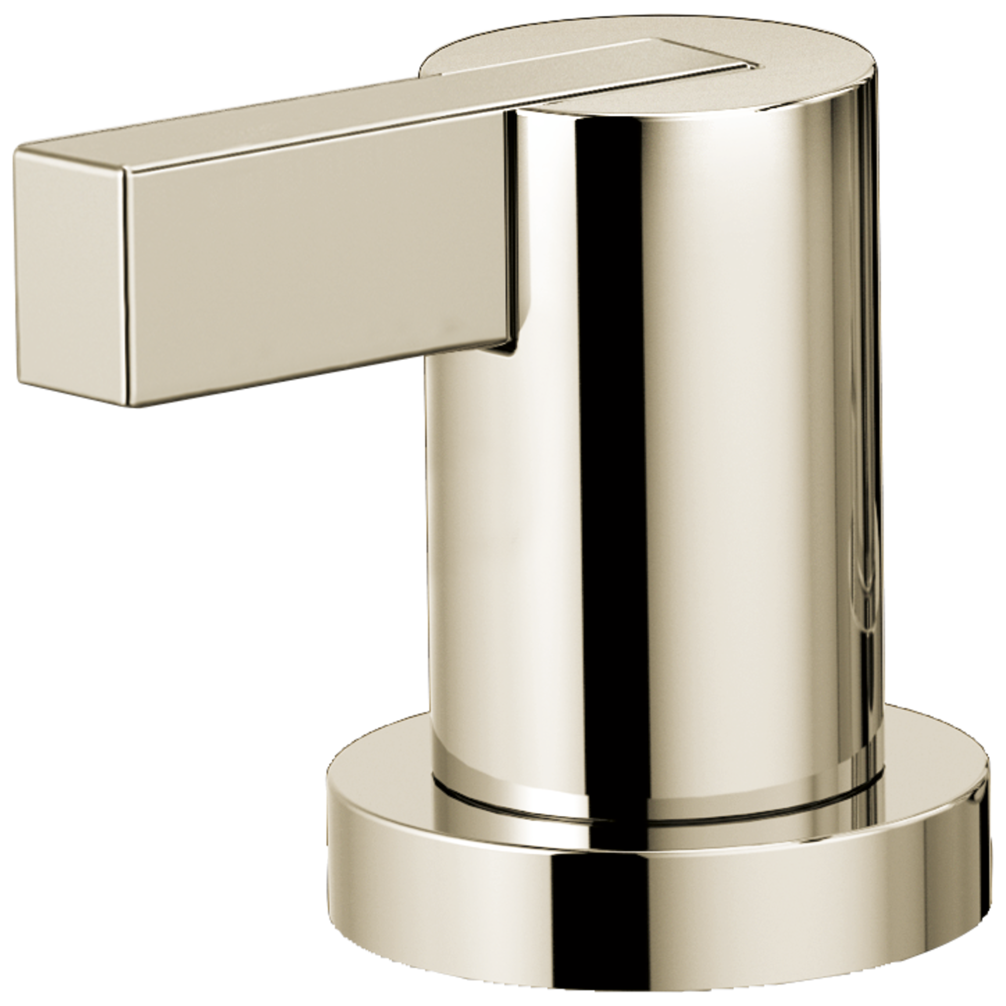 polished nickel handle kit