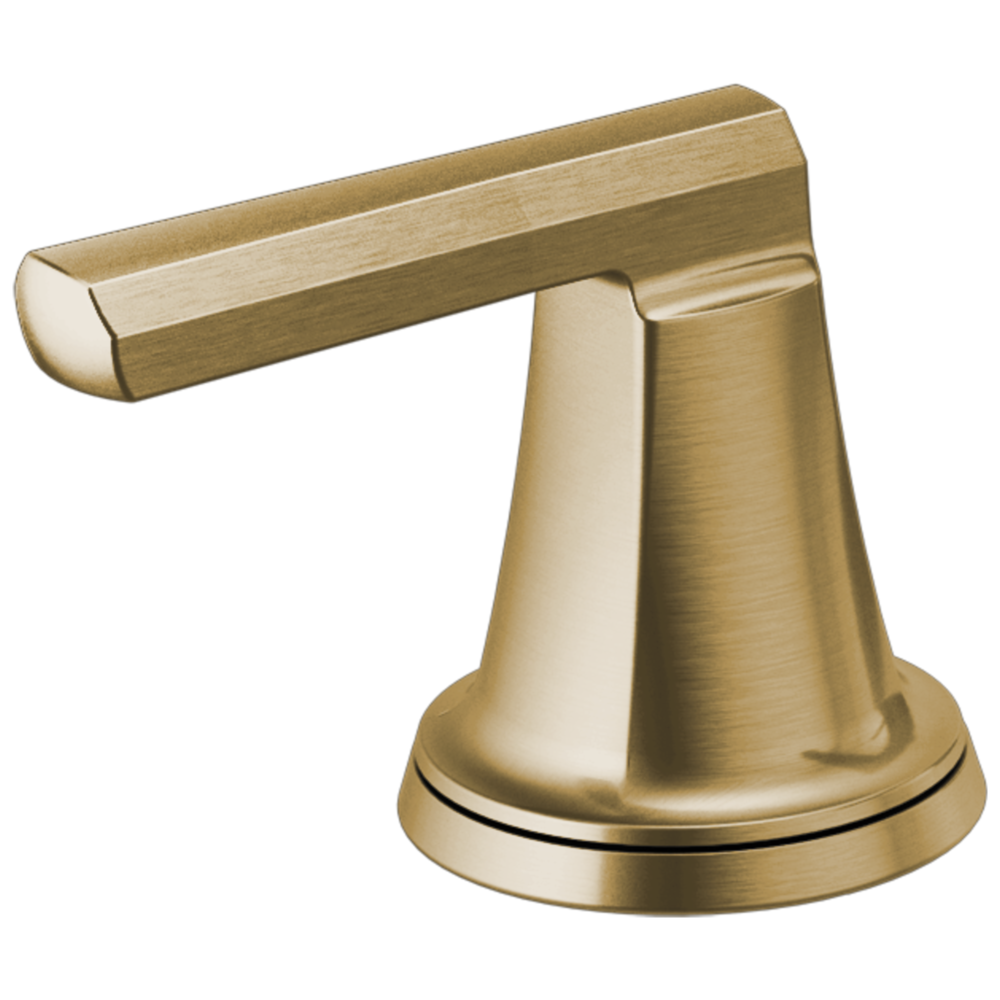 luxe gold handle kit