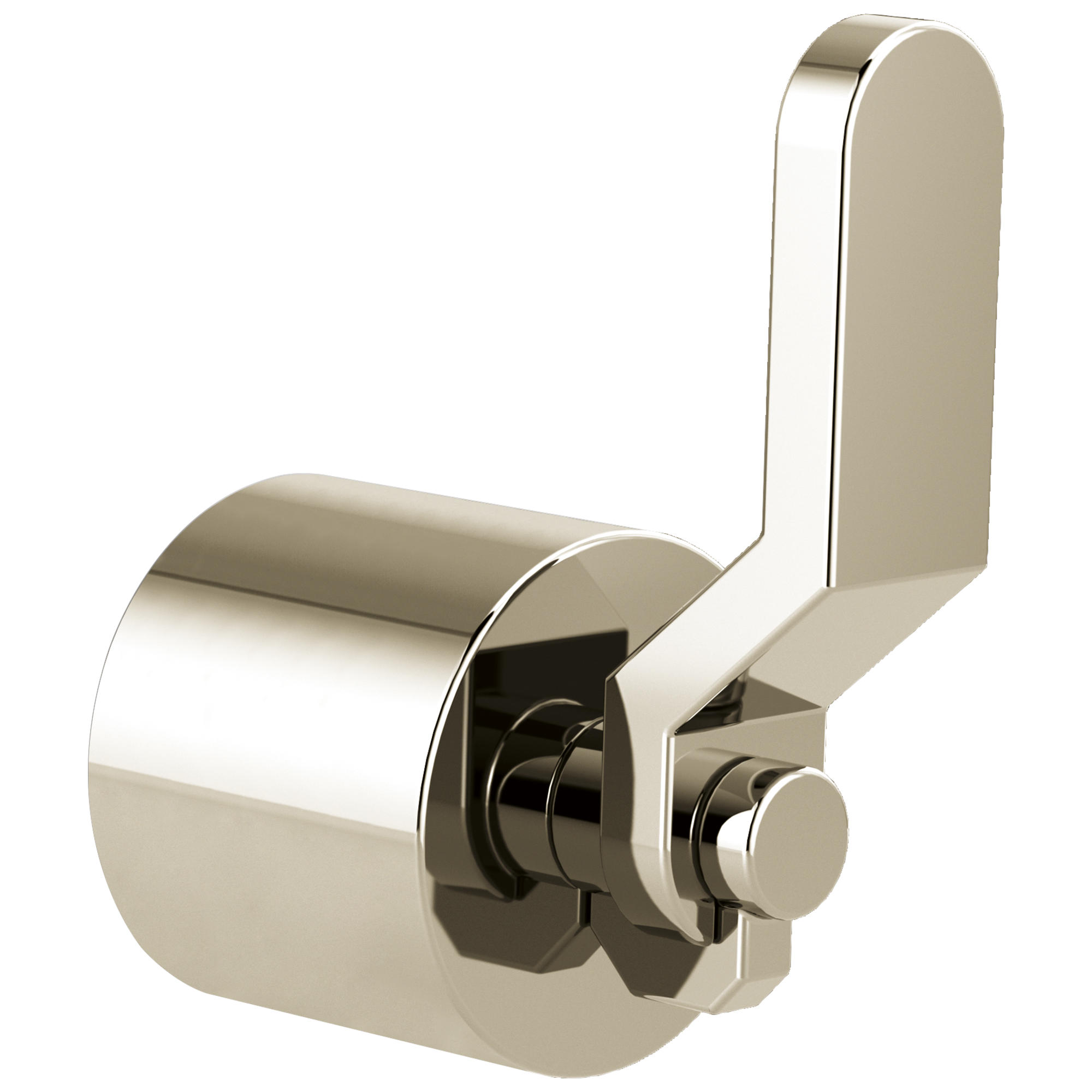 Brizo Litze Single-Handle Floor Mount Tub Filler Industrial Lever Handle Kit