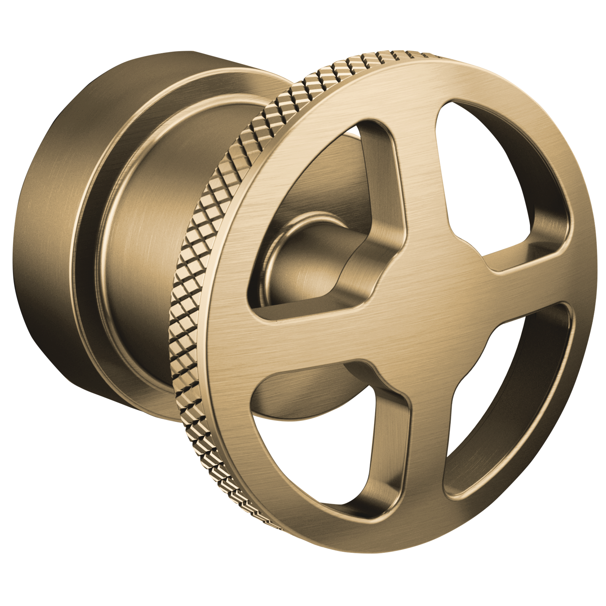 luxe gold handle kit