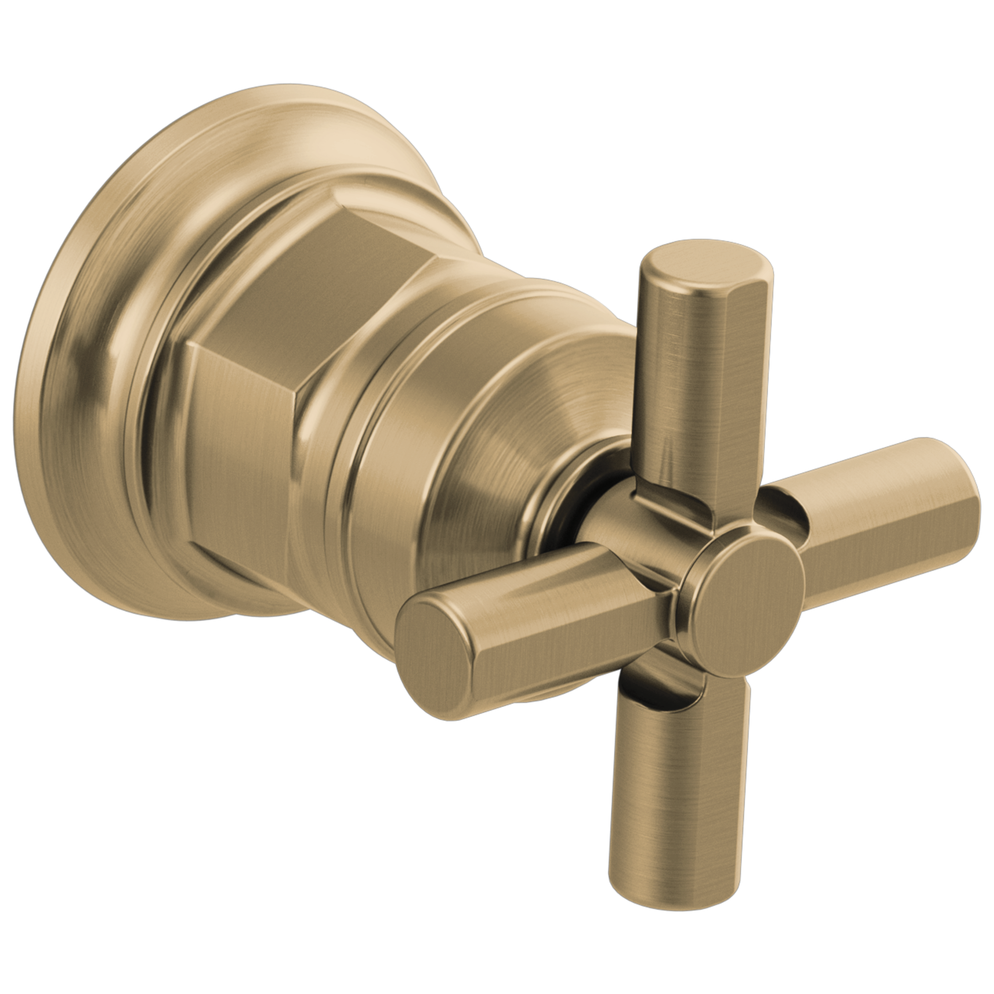 luxe gold handle kit
