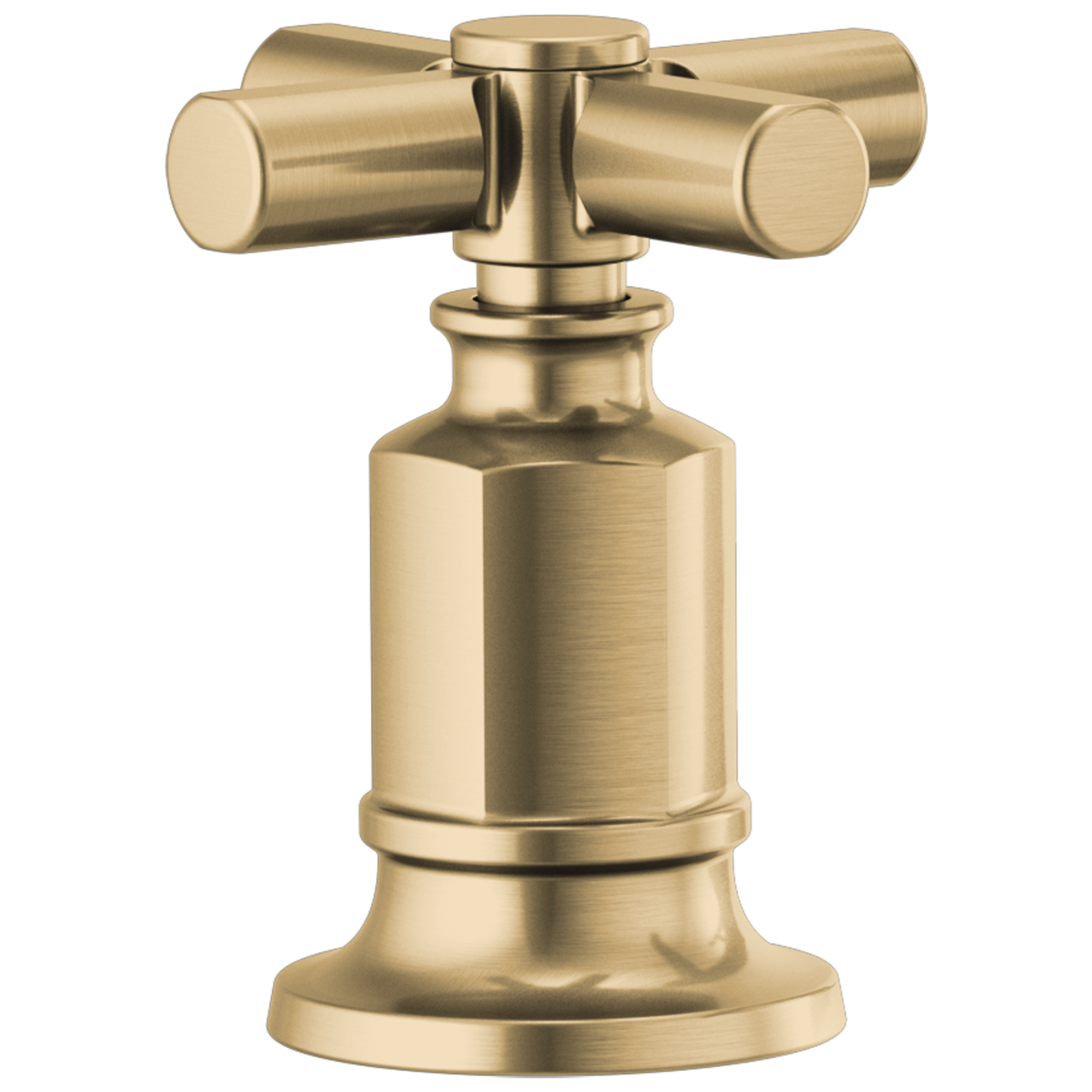 luxe gold handle kit