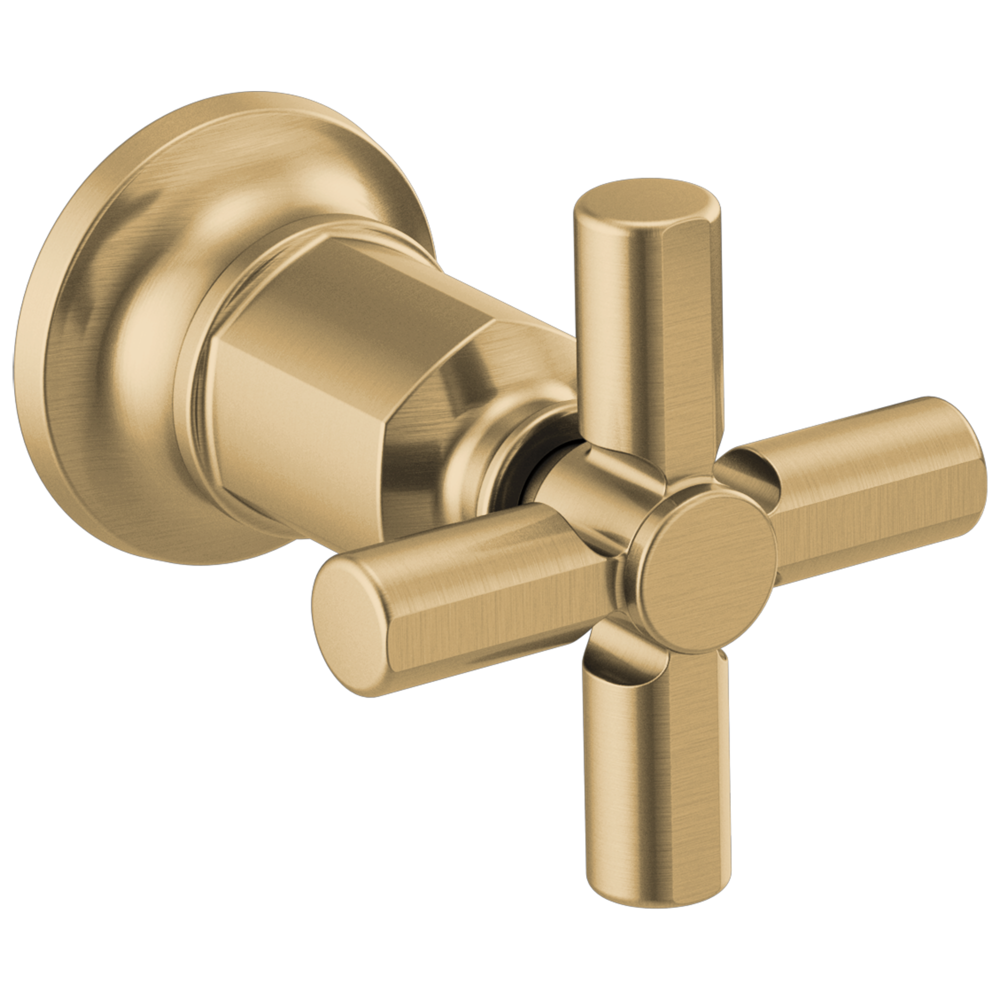 luxe gold handle kit