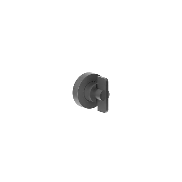matte gun metal pvd volume control