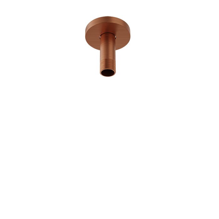 Baril Shower Components 3 inch Ceiling Mounted Shower Arm with Flange