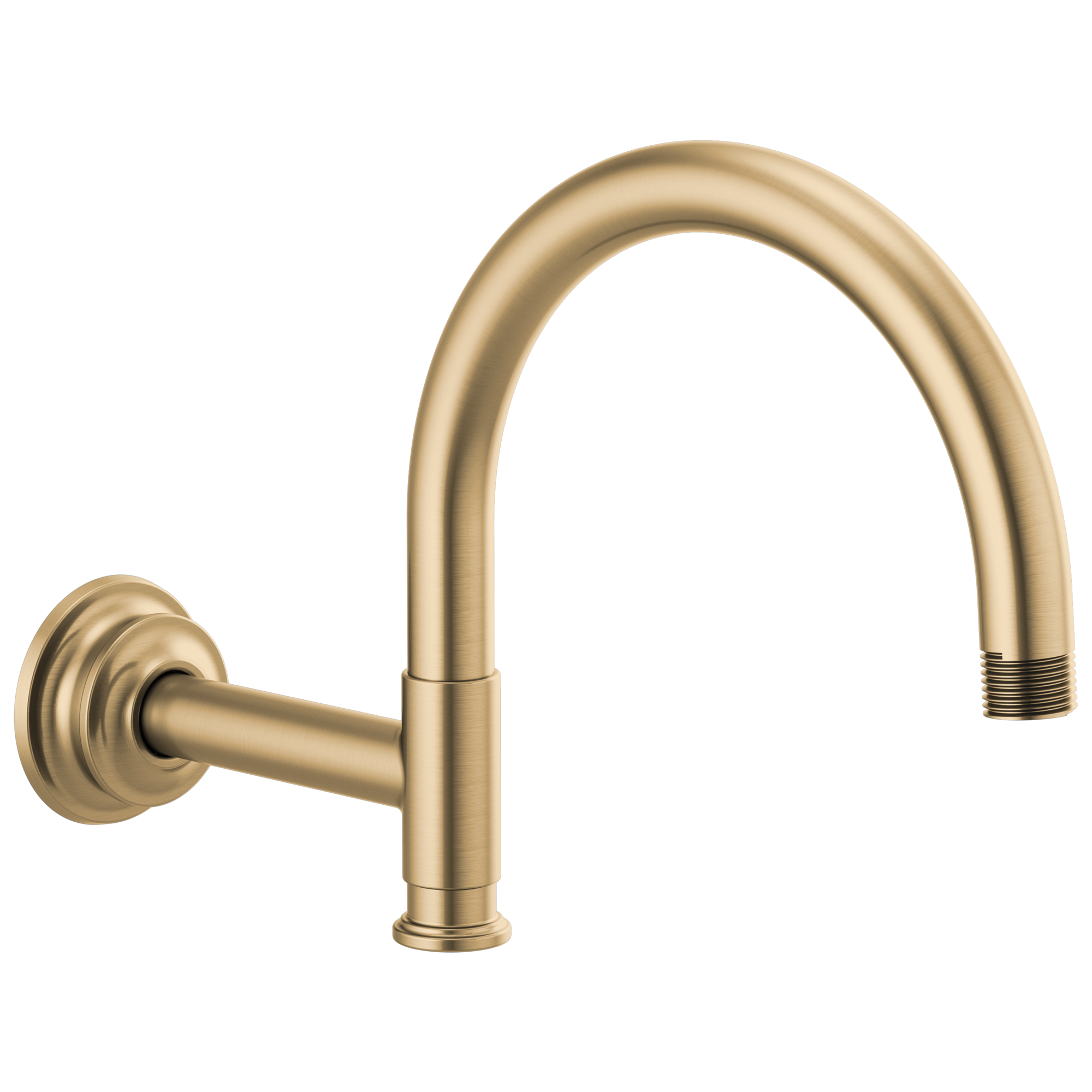 luxe gold shower arm and flange