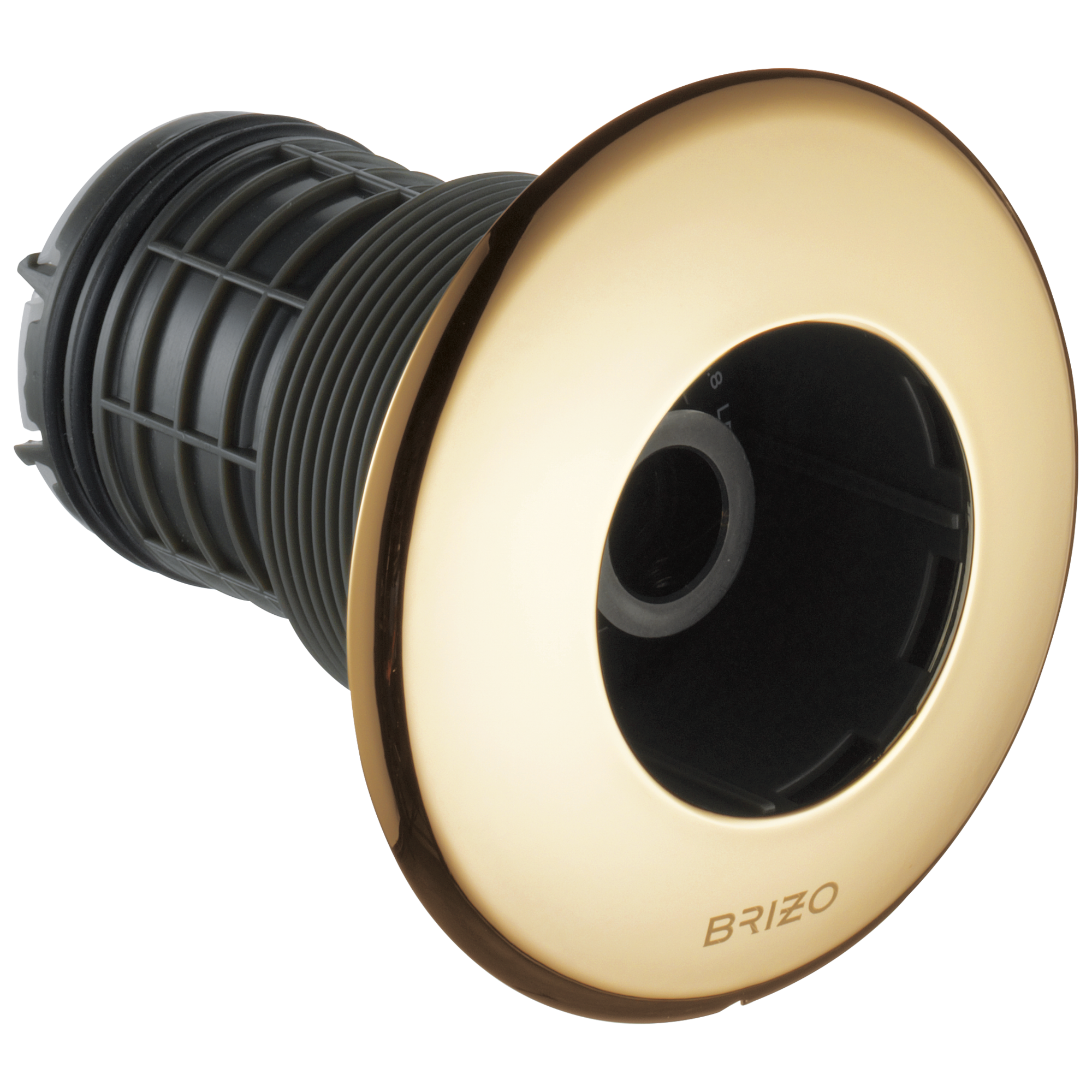Brizo Universal Showering Hydrachoice Max Round Body Spray Trim