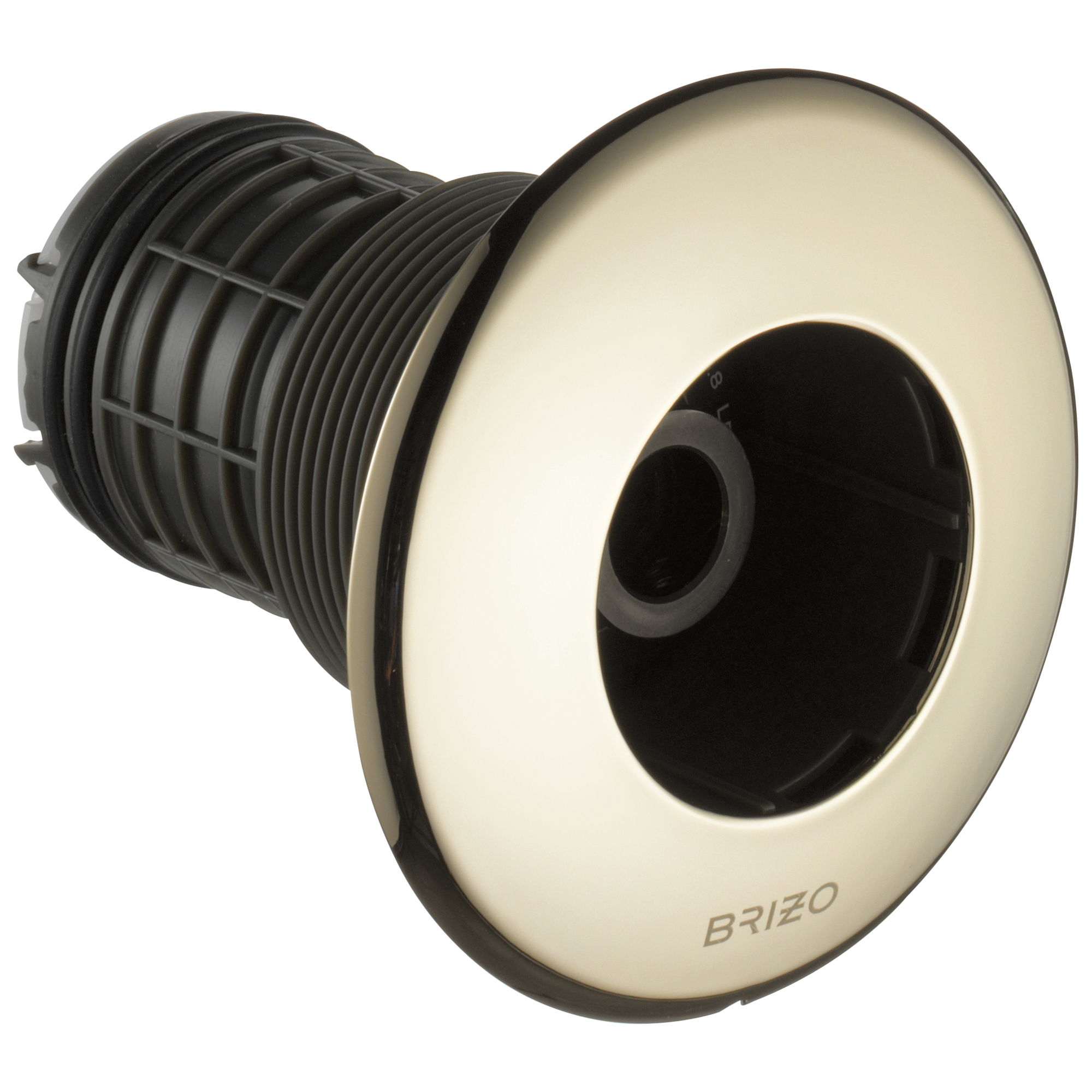 Brizo Universal Showering Hydrachoice Max Round Body Spray Trim