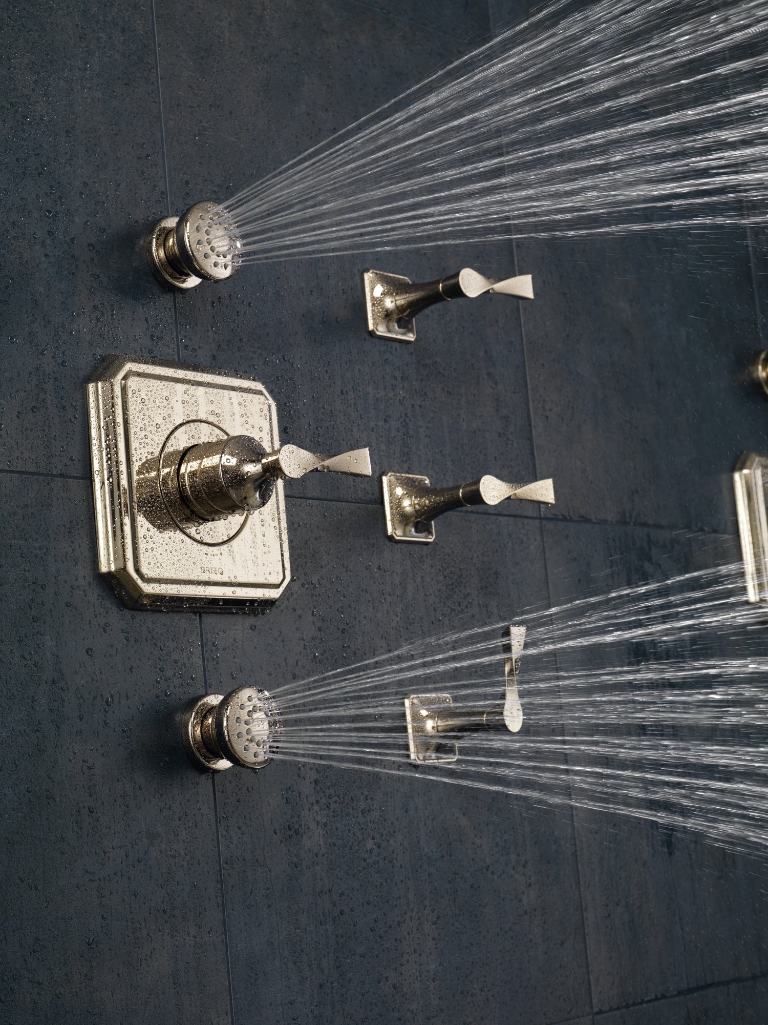 polished nickel volume control trim