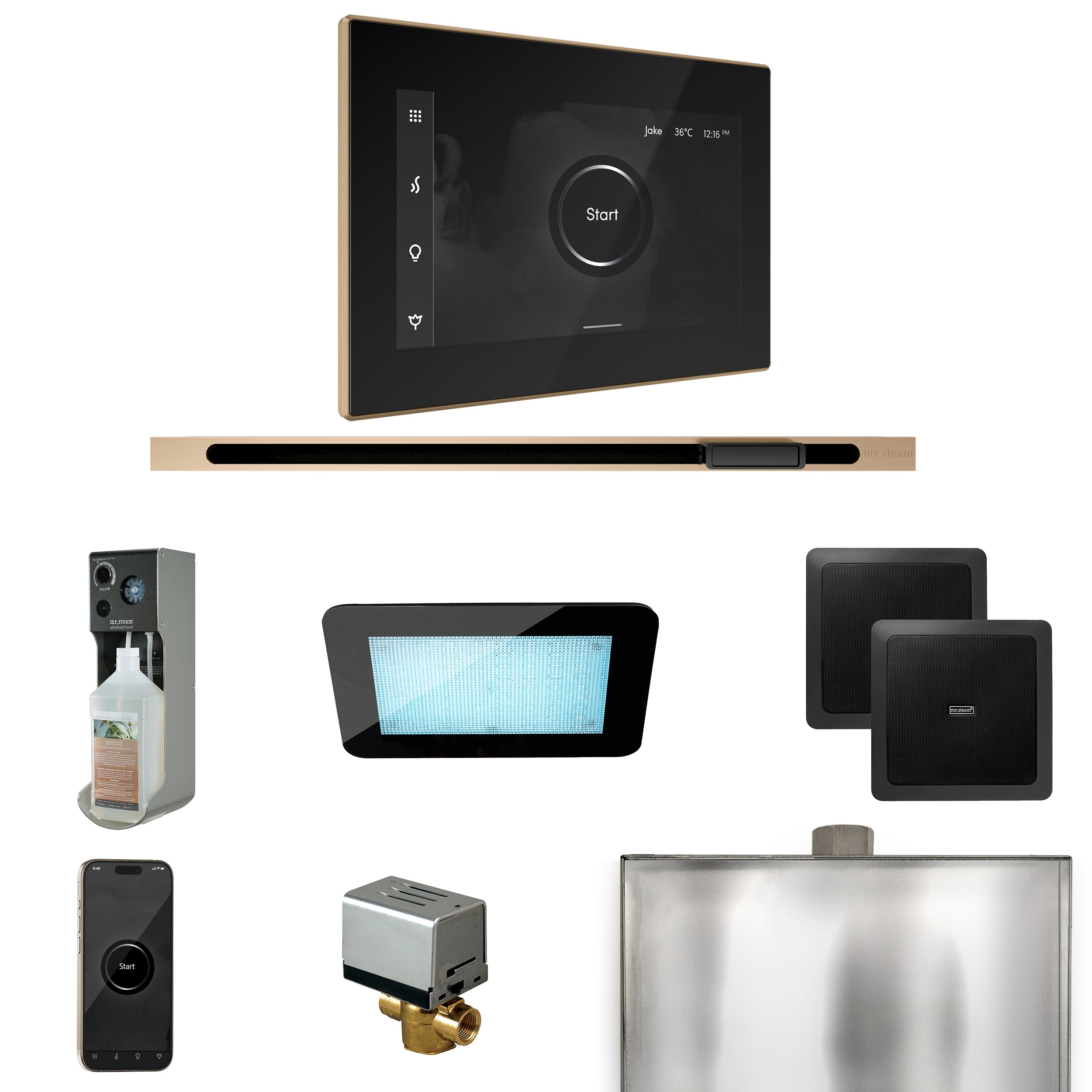 Mr Steam XDream Steam Shower Control Package with iSteamX Control and Linear Steamhead