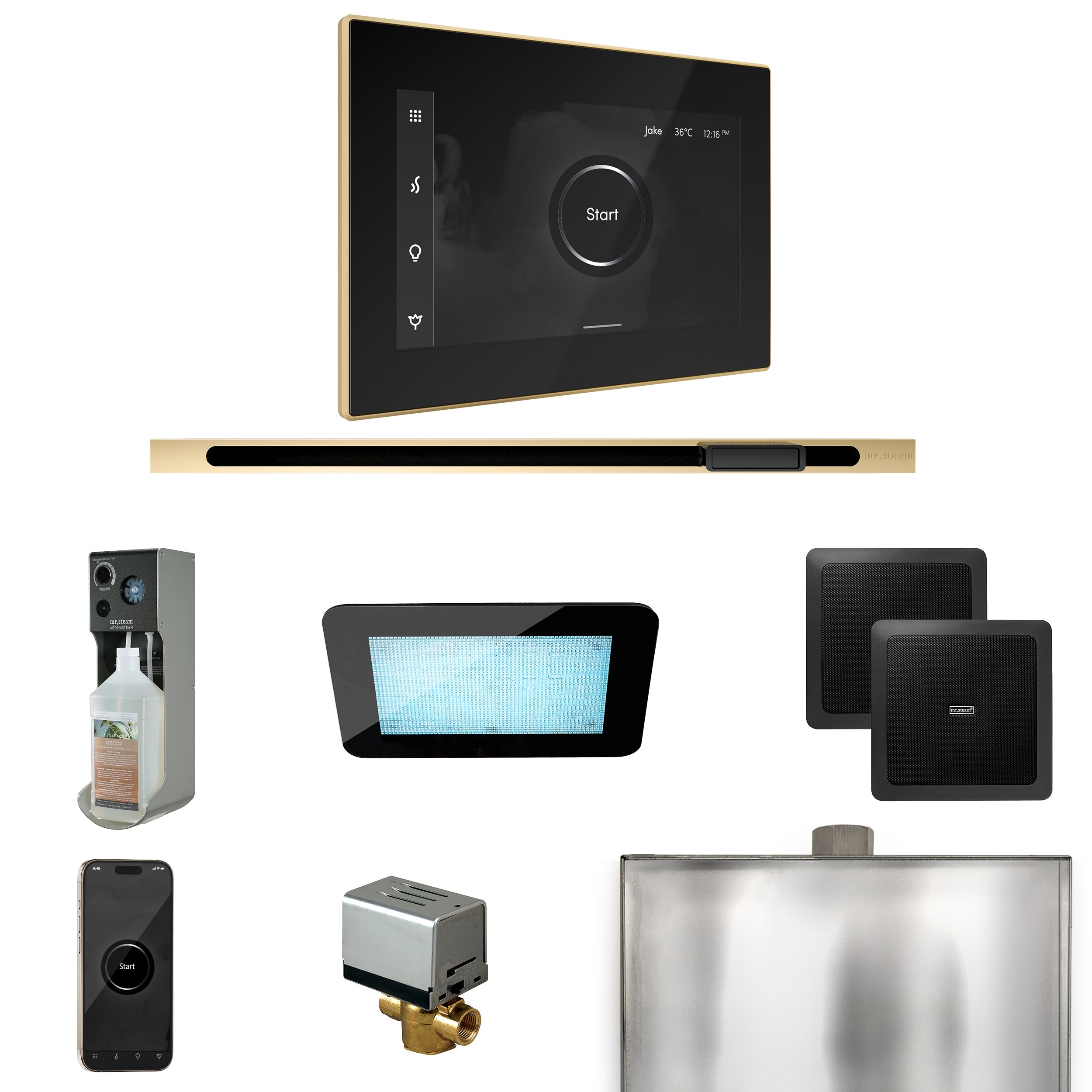 Mr Steam XDream Steam Shower Control Package with iSteamX Control and Linear Steamhead