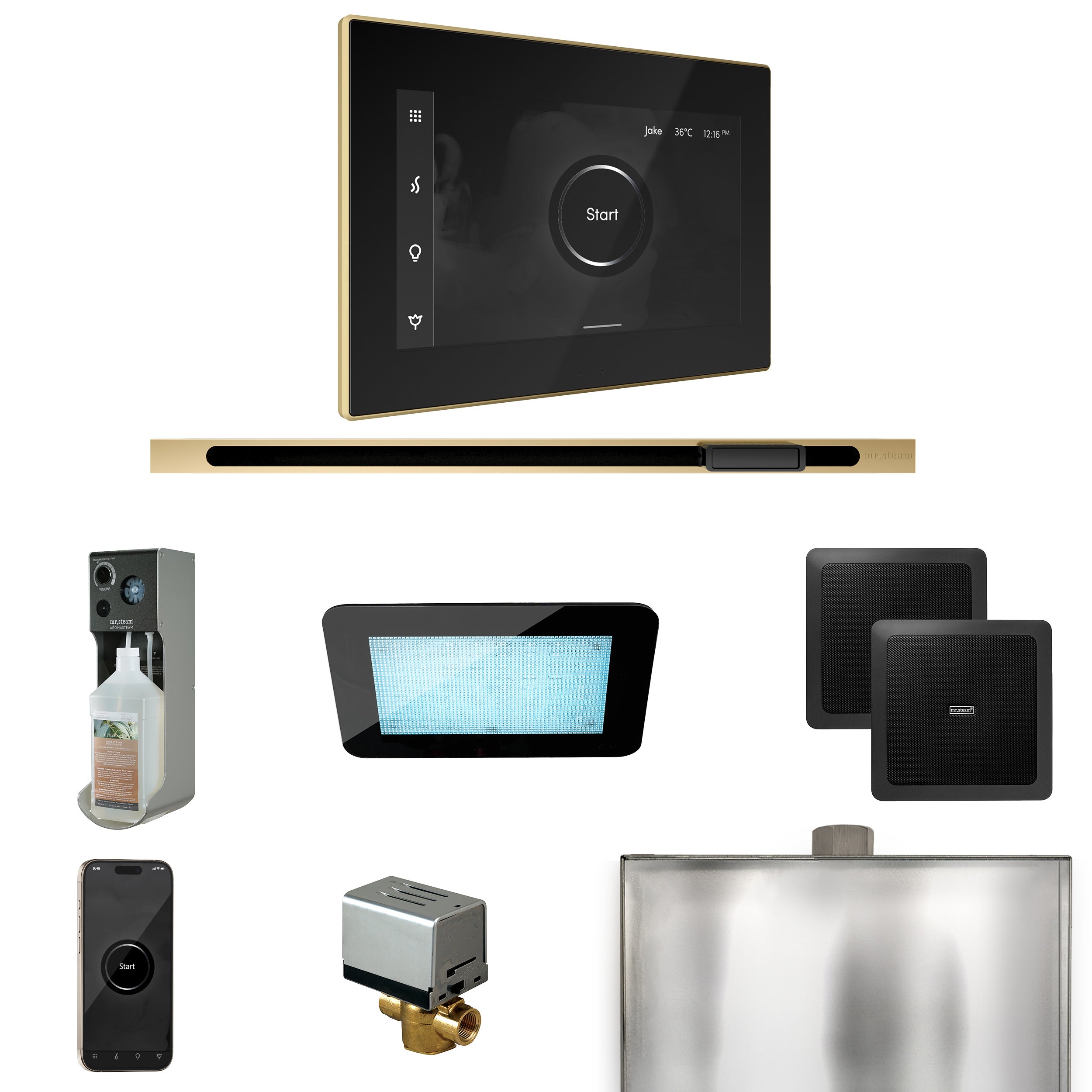 Mr Steam XDream Steam Shower Control Package with iSteamX Control and Linear Steamhead