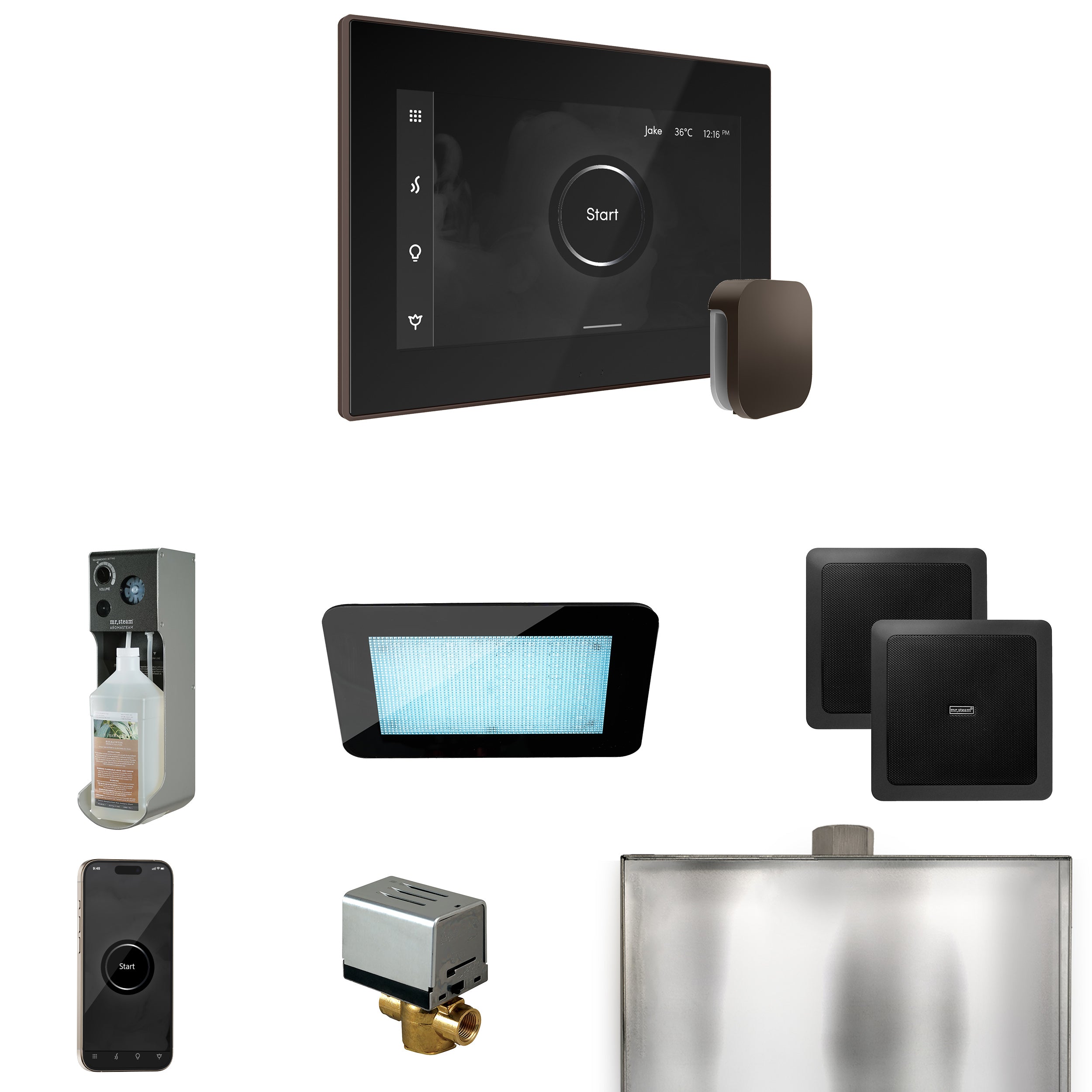 Mr Steam XDream Steam Shower Control Package with iSteamX Control and Steamhead