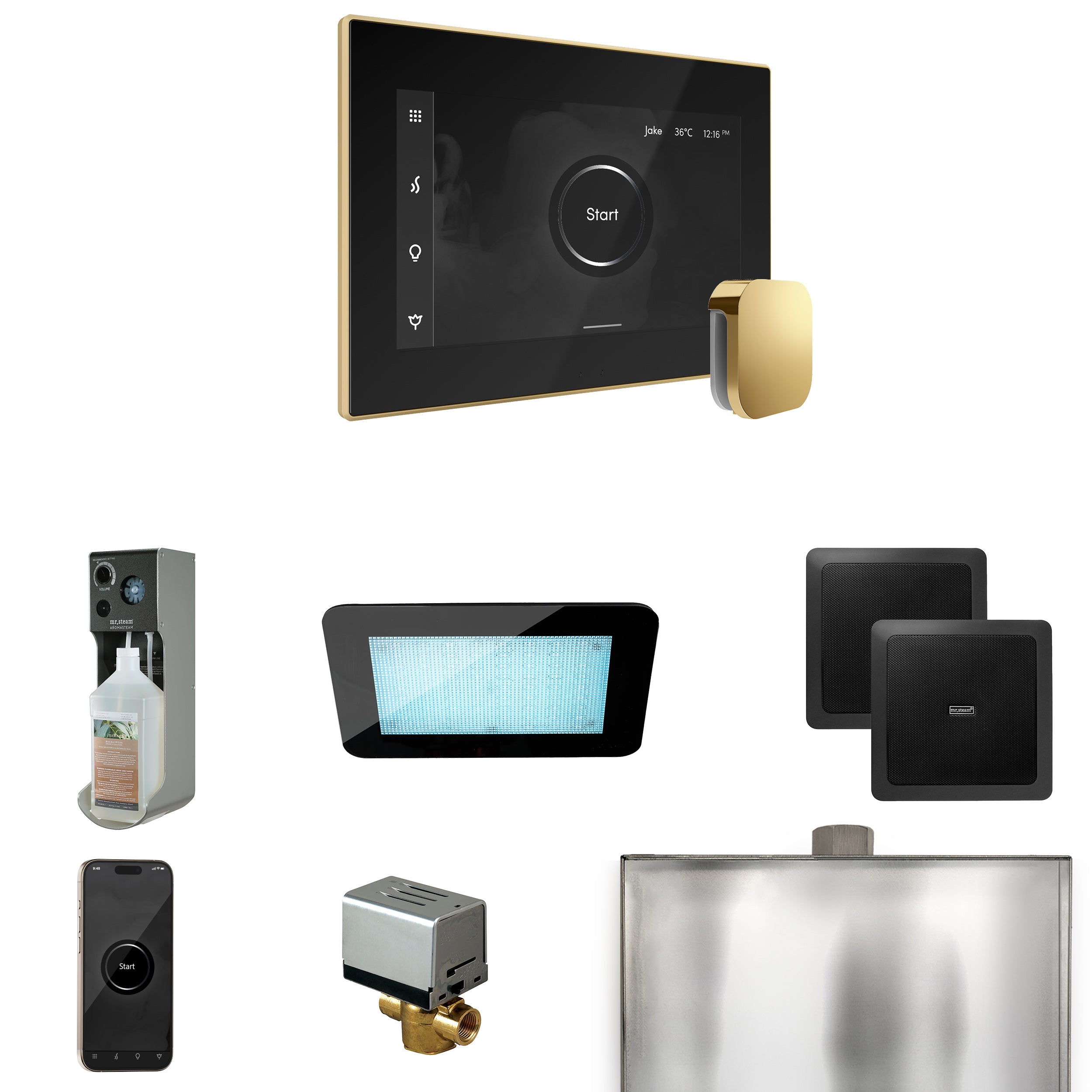 Mr Steam XDream Steam Shower Control Package with iSteamX Control and Steamhead