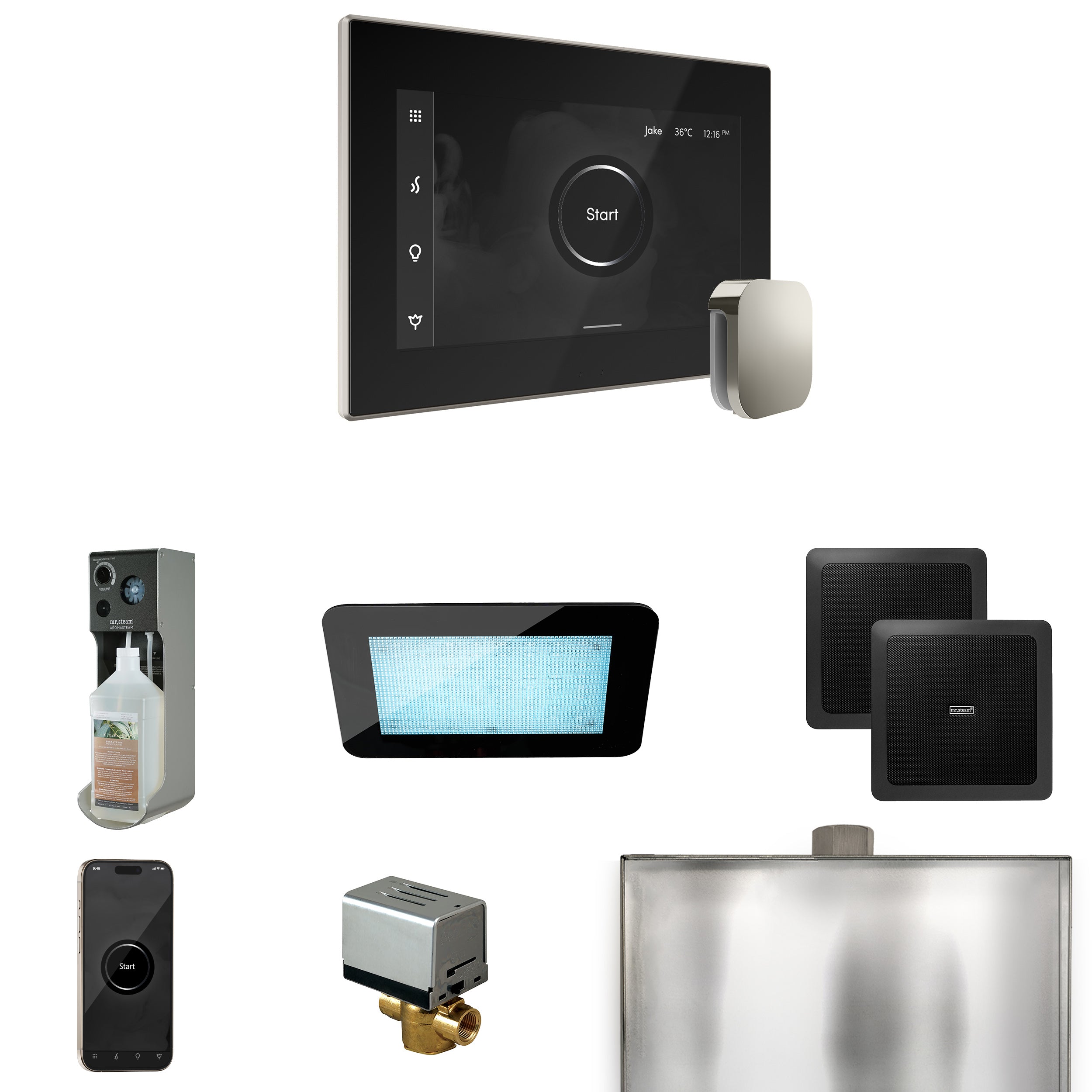 Mr Steam XDream Steam Shower Control Package with iSteamX Control and Steamhead
