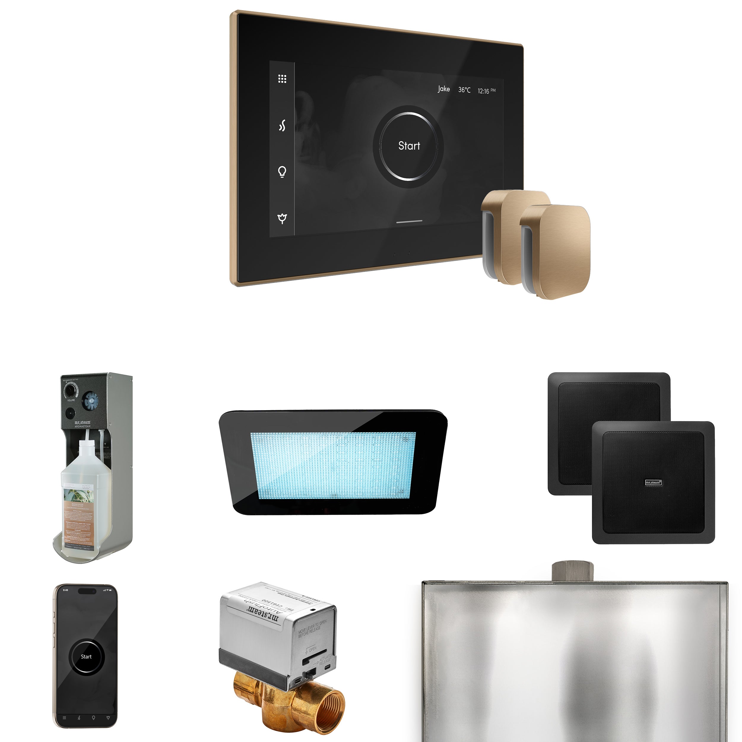 Mr Steam XDream Max Steam Shower Control Package with iSteamX Control and Steamhead
