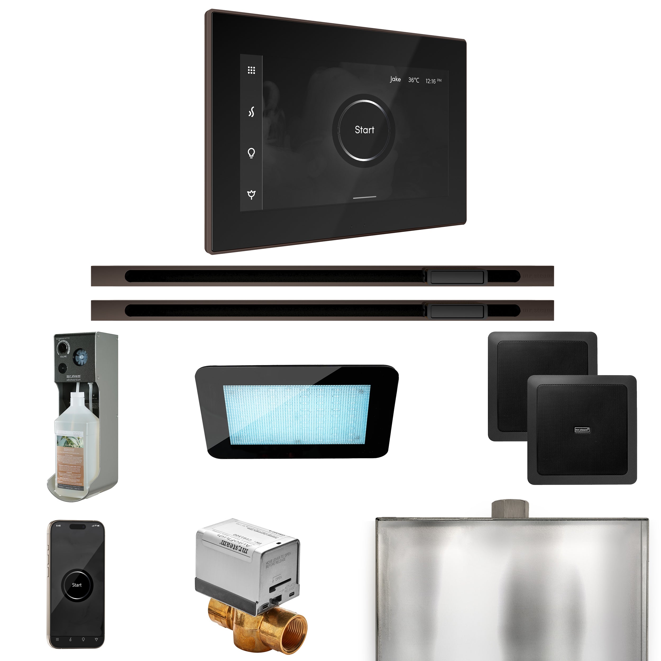 Mr Steam XDream Max Steam Shower Control Package with iSteamX Control and Linear Steamhead