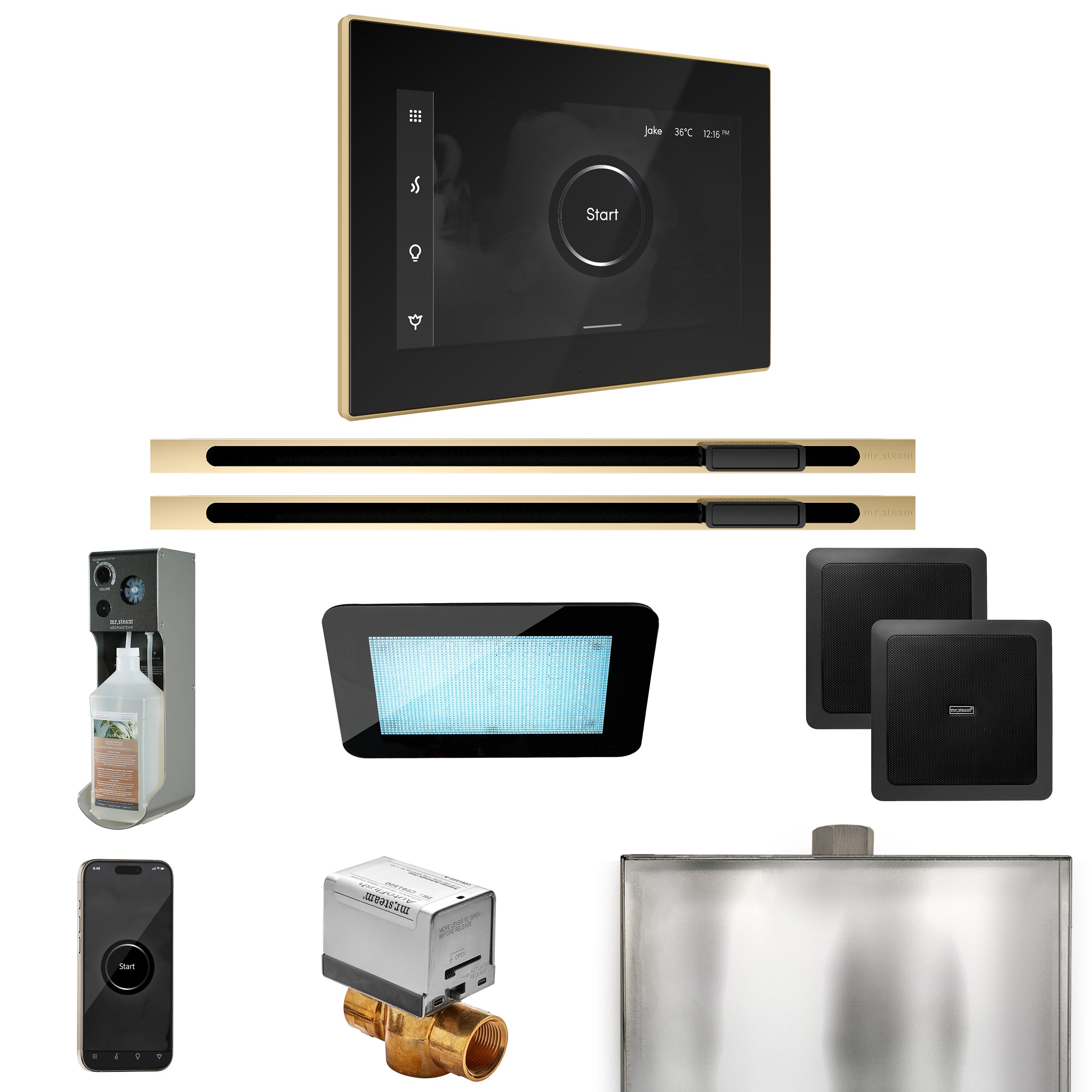 Mr Steam XDream Max Steam Shower Control Package with iSteamX Control and Linear Steamhead