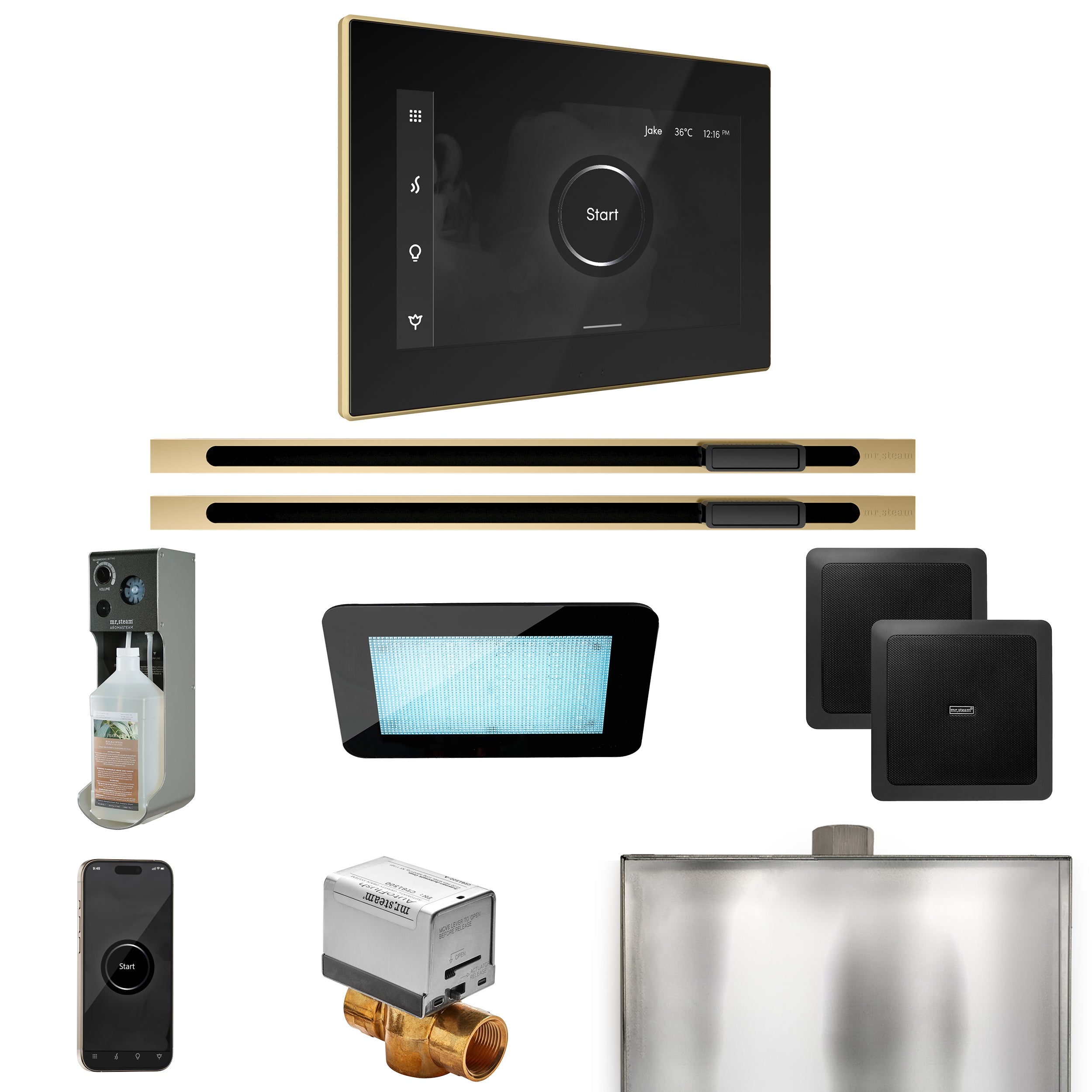 Mr Steam XDream Max Steam Shower Control Package with iSteamX Control and Linear Steamhead