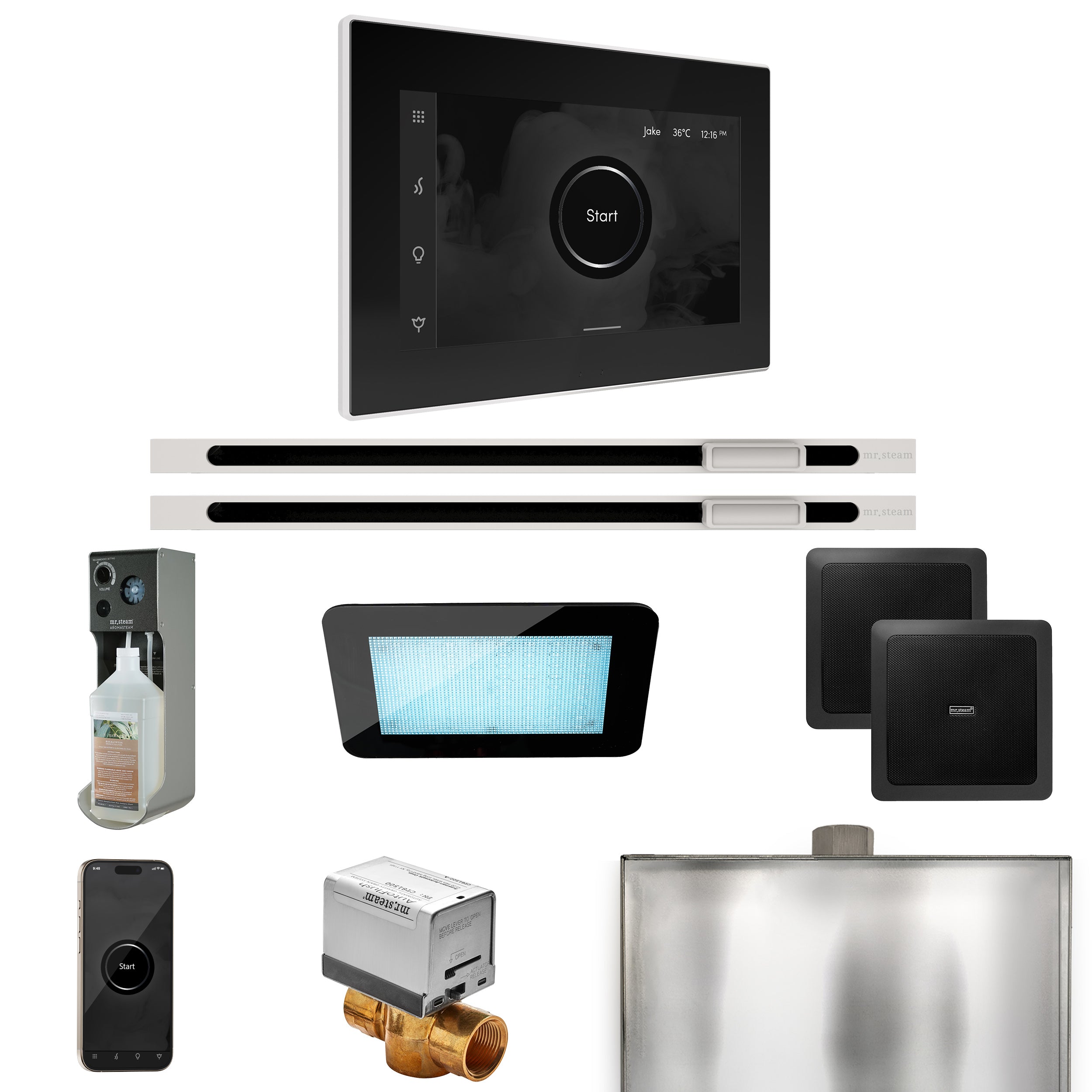 Mr Steam XDream Max Steam Shower Control Package with iSteamX Control and Linear Steamhead