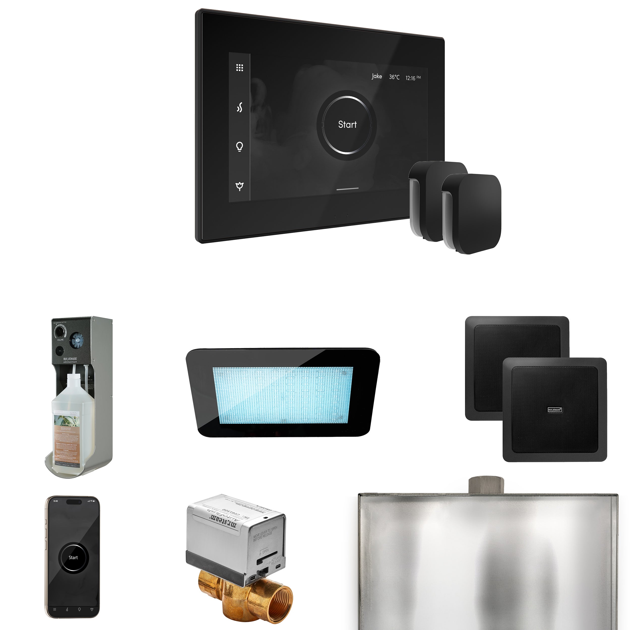 Mr Steam XDream Max Steam Shower Control Package with iSteamX Control and Steamhead