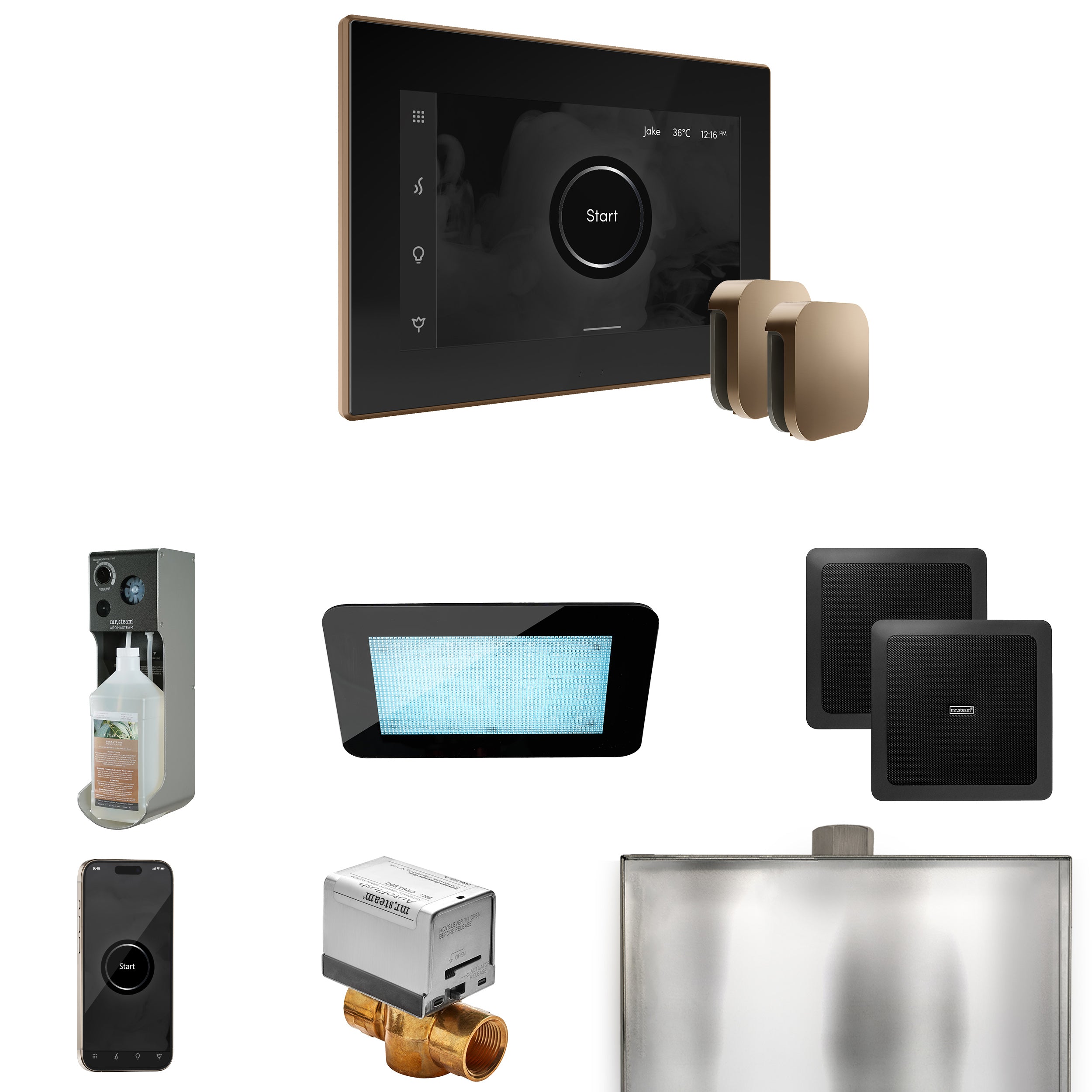 Mr Steam XDream Max Steam Shower Control Package with iSteamX Control and Steamhead