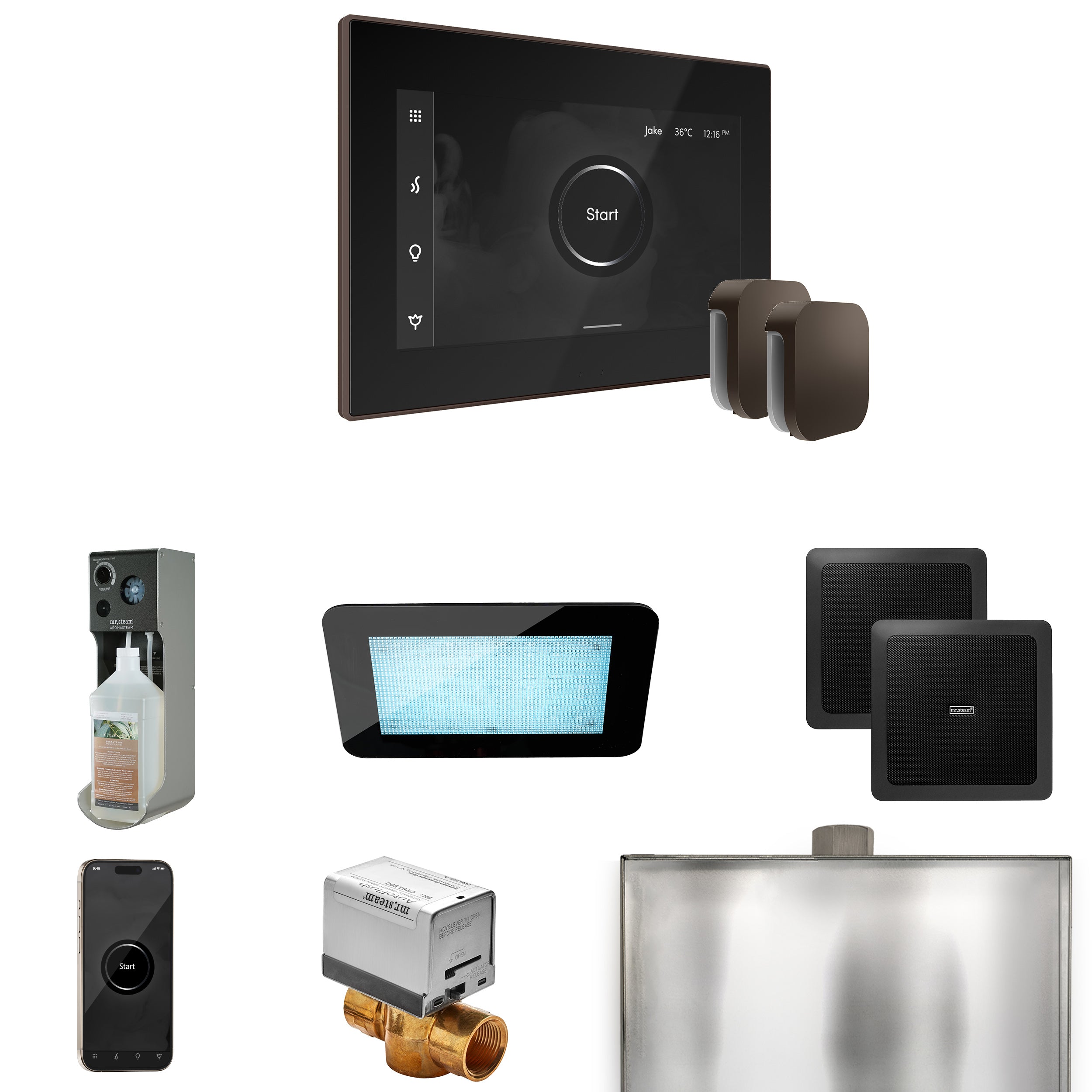 Mr Steam XDream Max Steam Shower Control Package with iSteamX Control and Steamhead