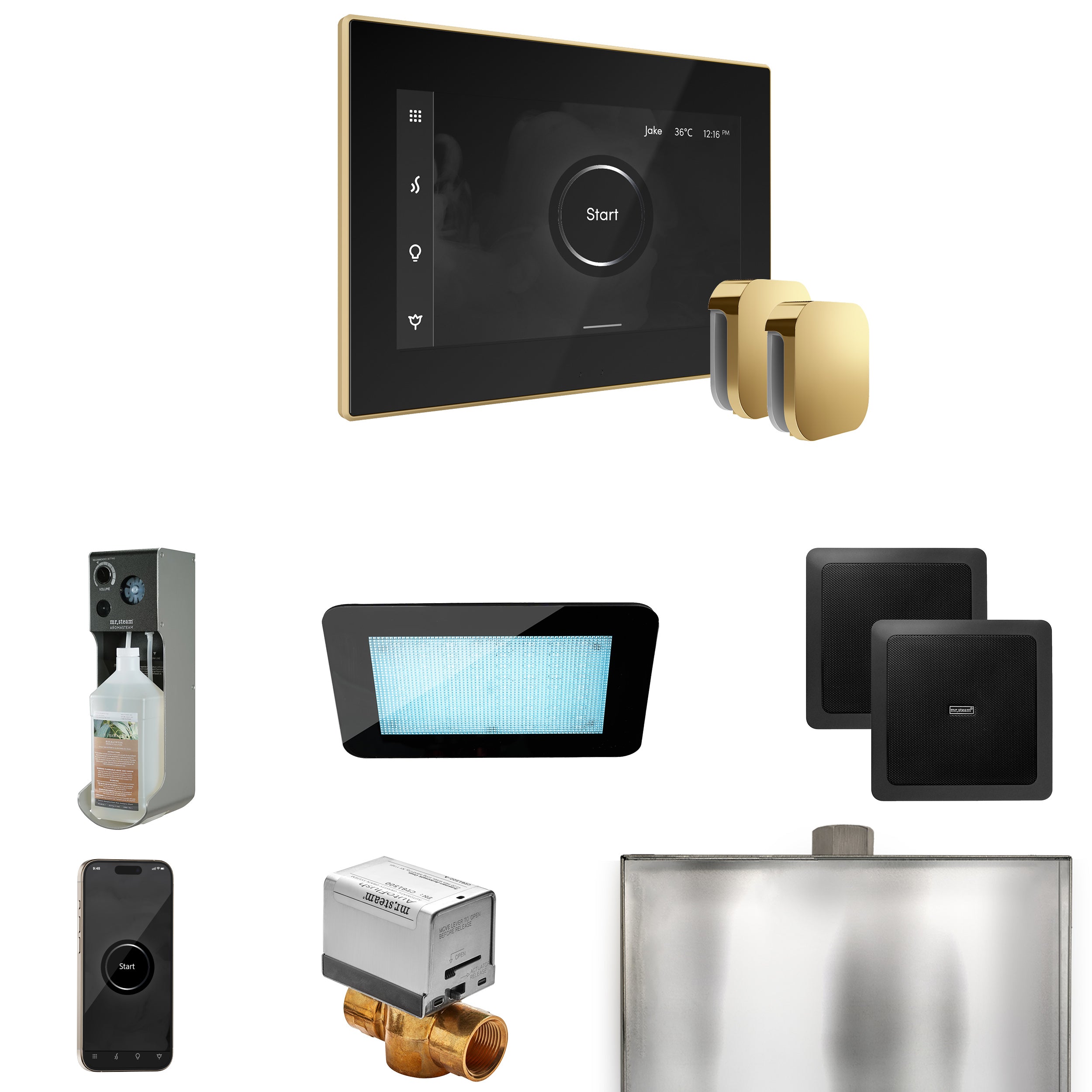 Mr Steam XDream Max Steam Shower Control Package with iSteamX Control and Steamhead