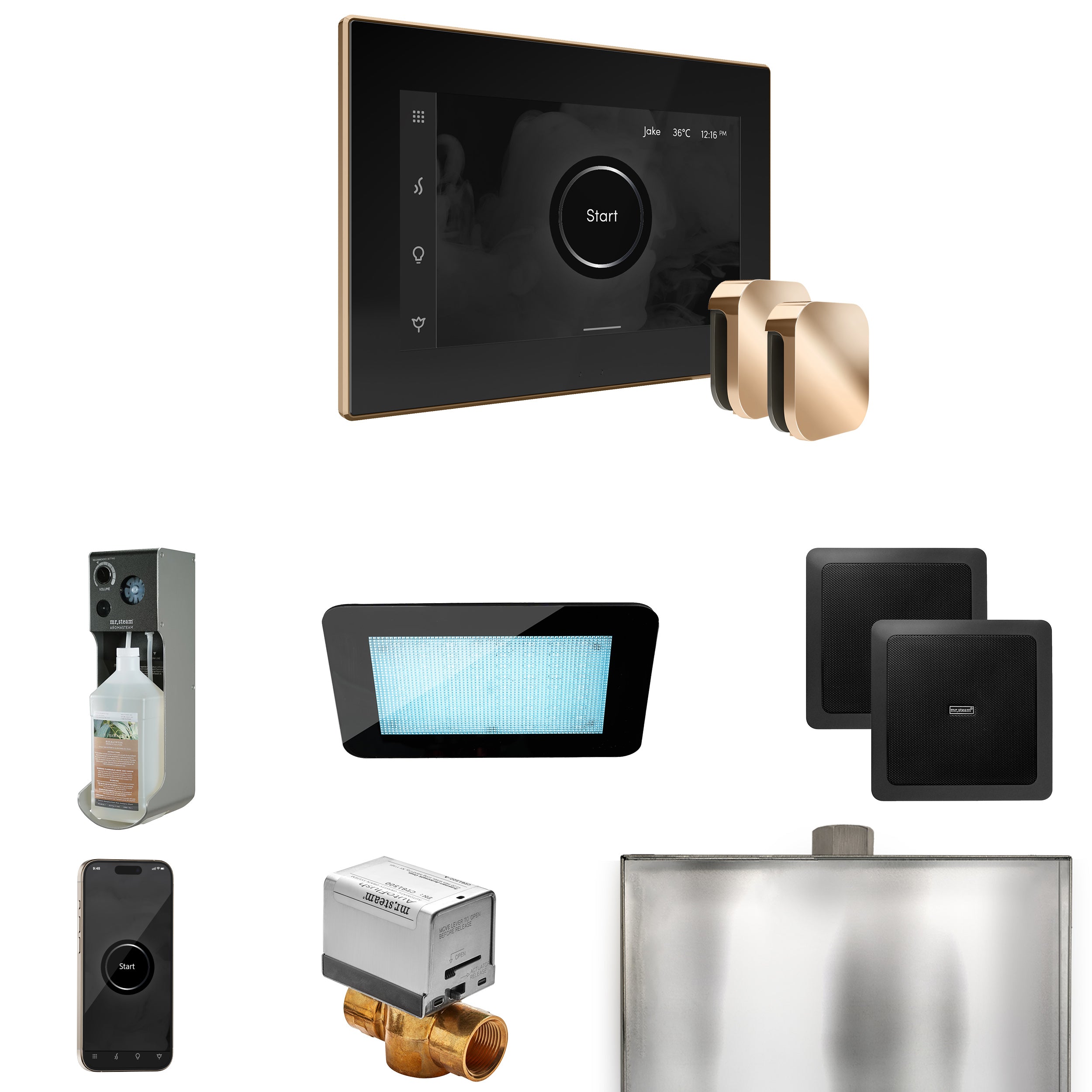 Mr Steam XDream Max Steam Shower Control Package with iSteamX Control and Steamhead