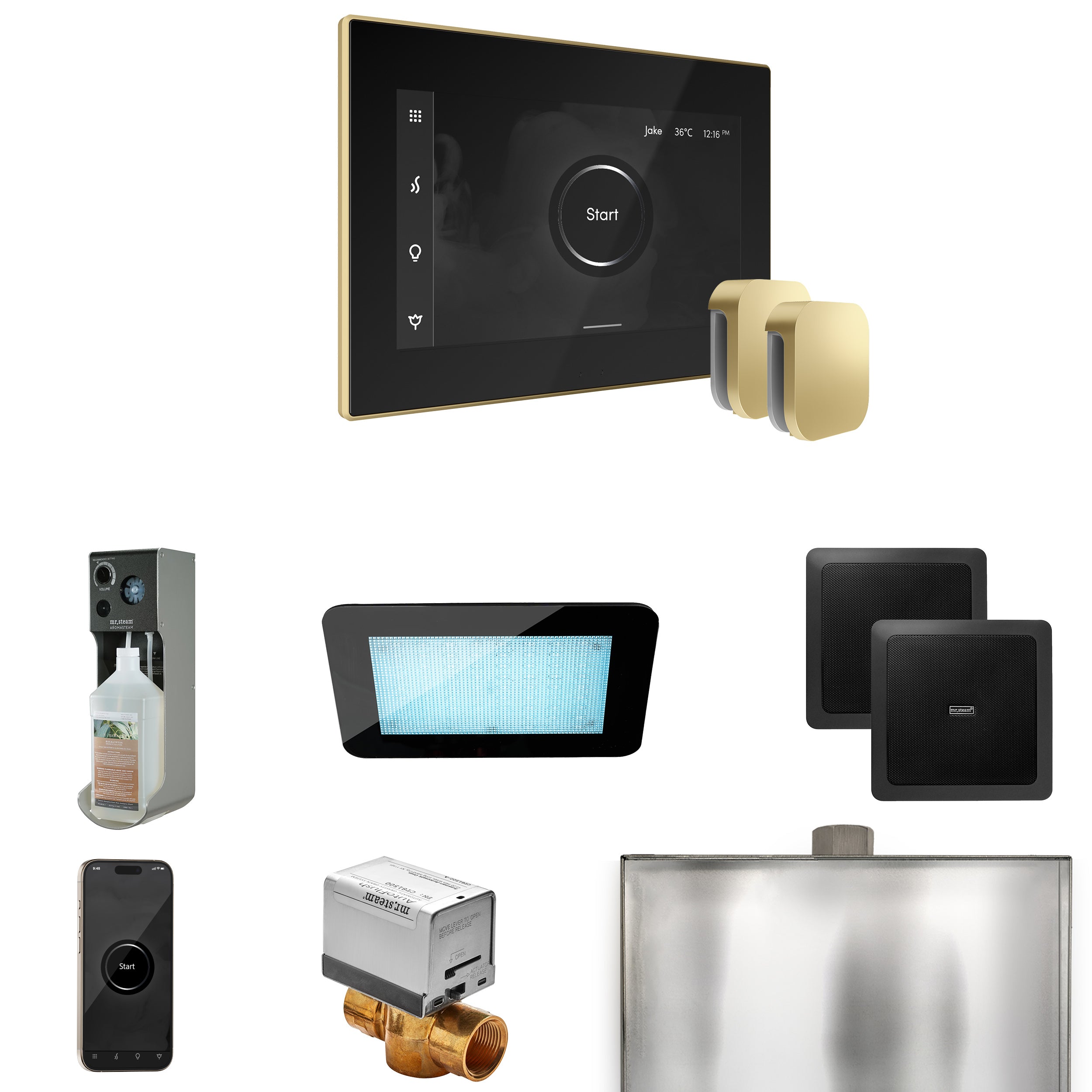Mr Steam XDream Max Steam Shower Control Package with iSteamX Control and Steamhead