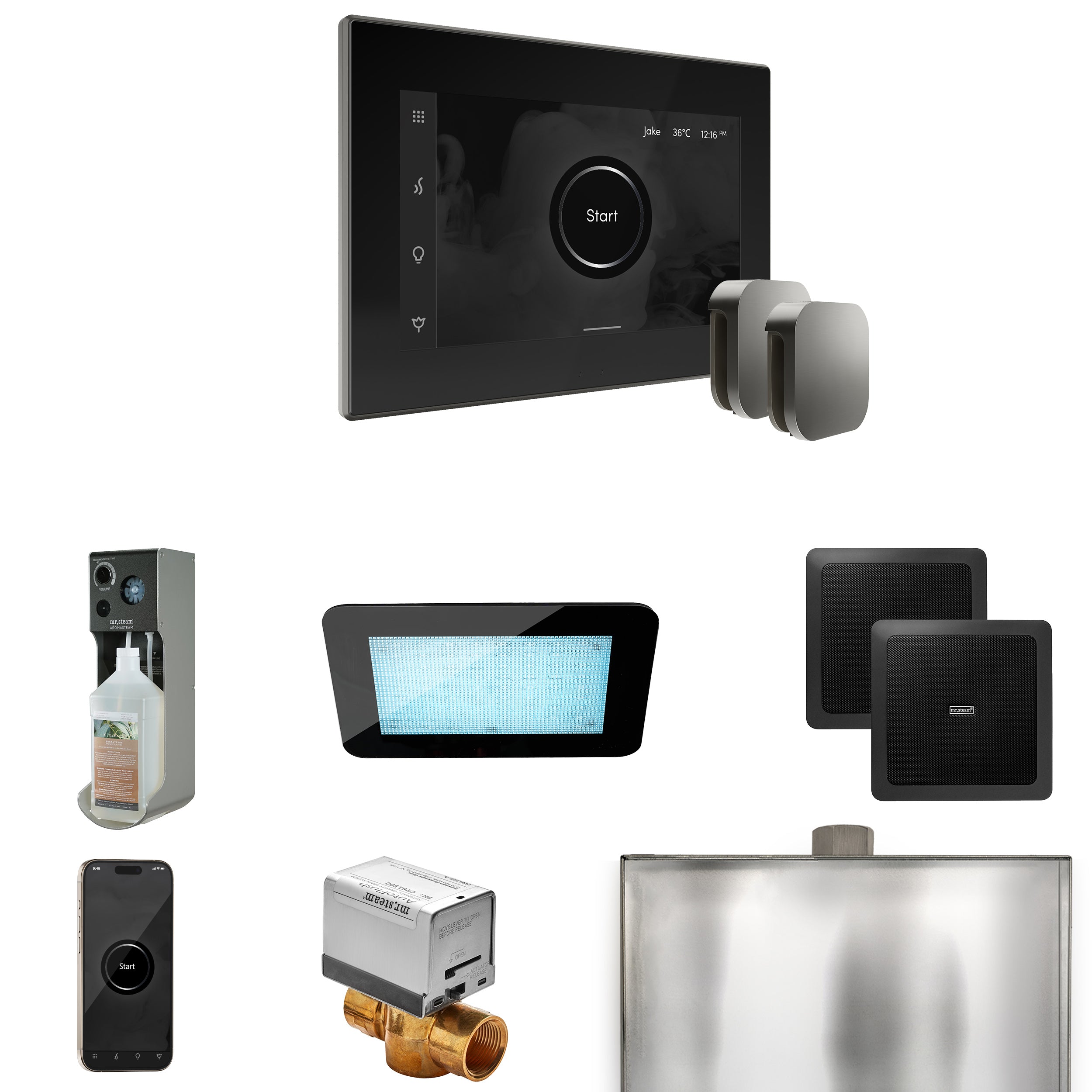 Mr Steam XDream Max Steam Shower Control Package with iSteamX Control and Steamhead