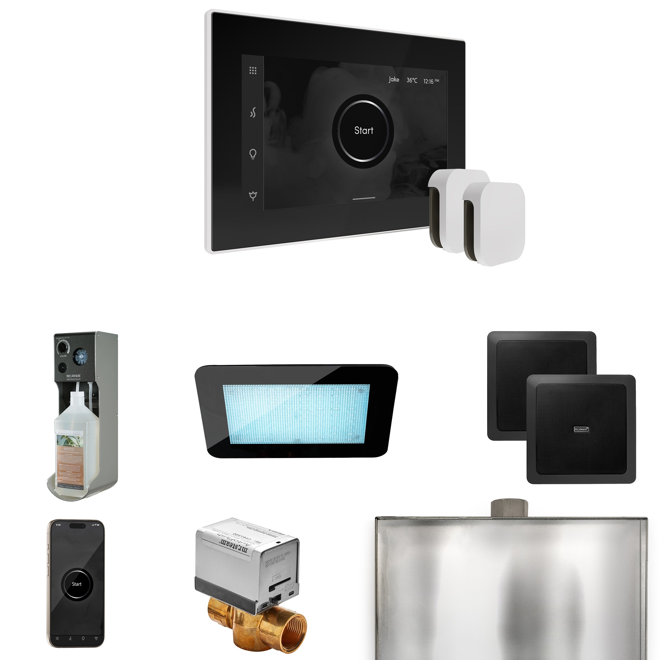 Mr Steam XDream Max Steam Shower Control Package with iSteamX Control and Steamhead
