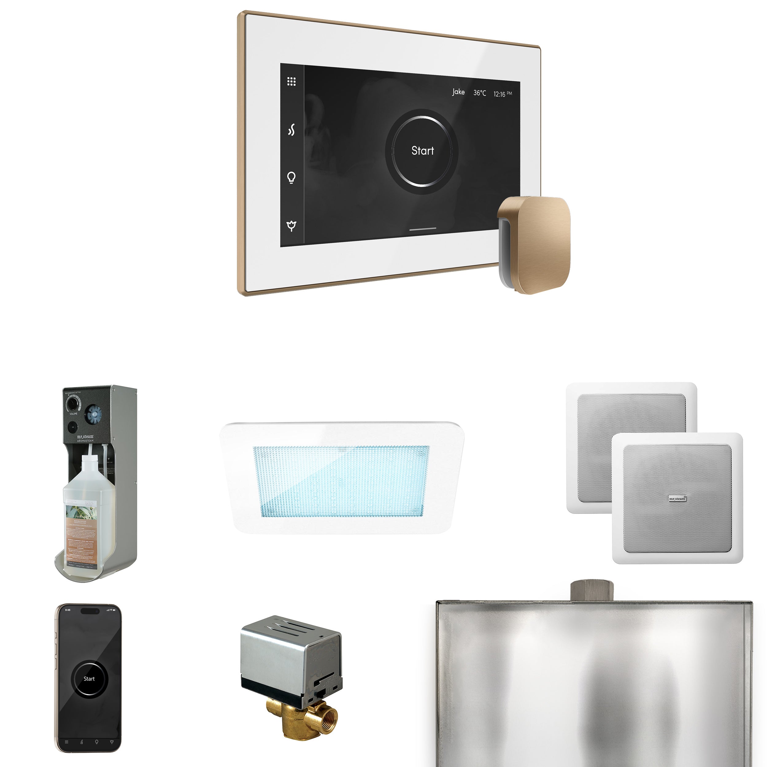 Mr Steam XDream Steam Shower Control Package with iSteamX Control and Steamhead