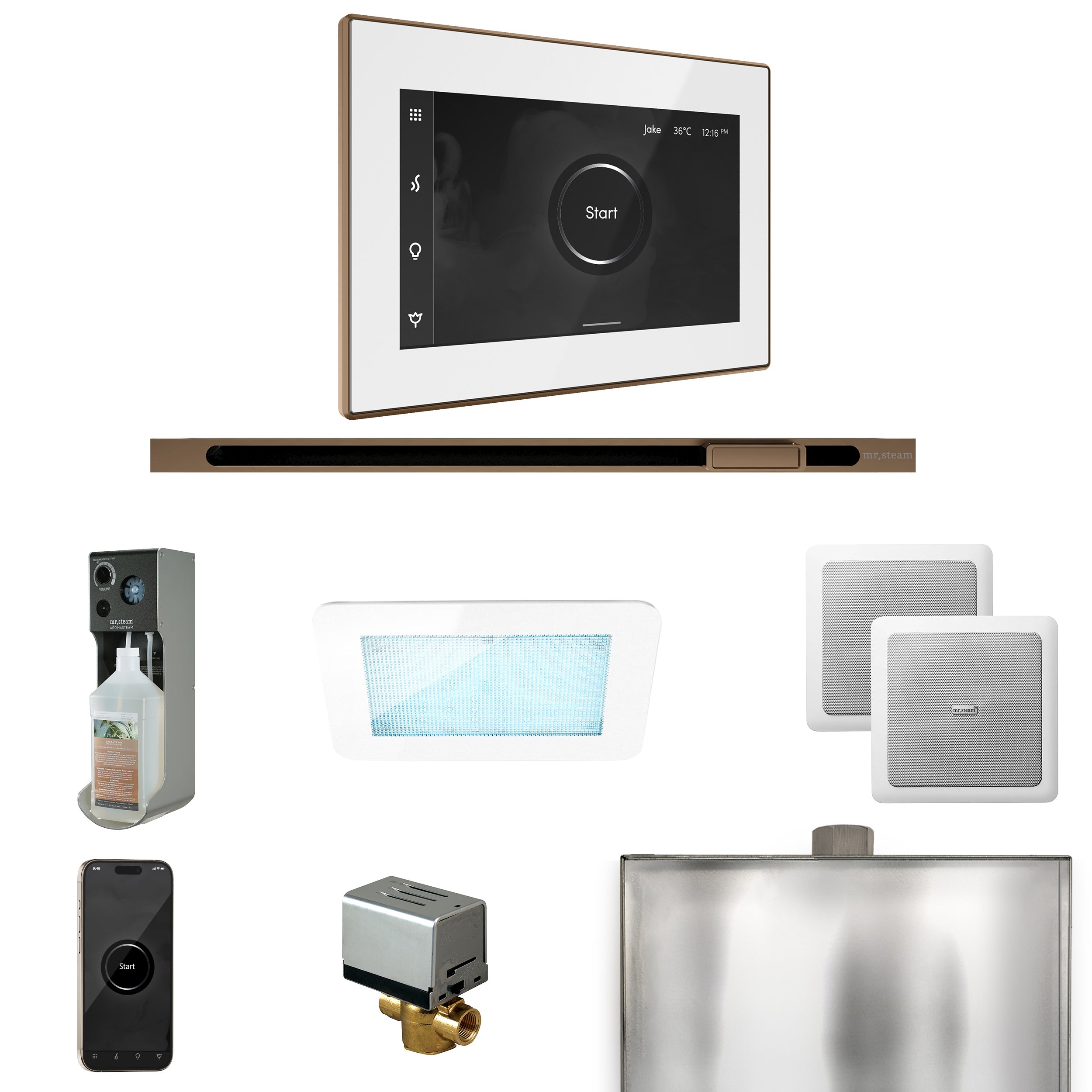 Mr Steam XDream Steam Shower Control Package with iSteamX Control and Linear Steamhead