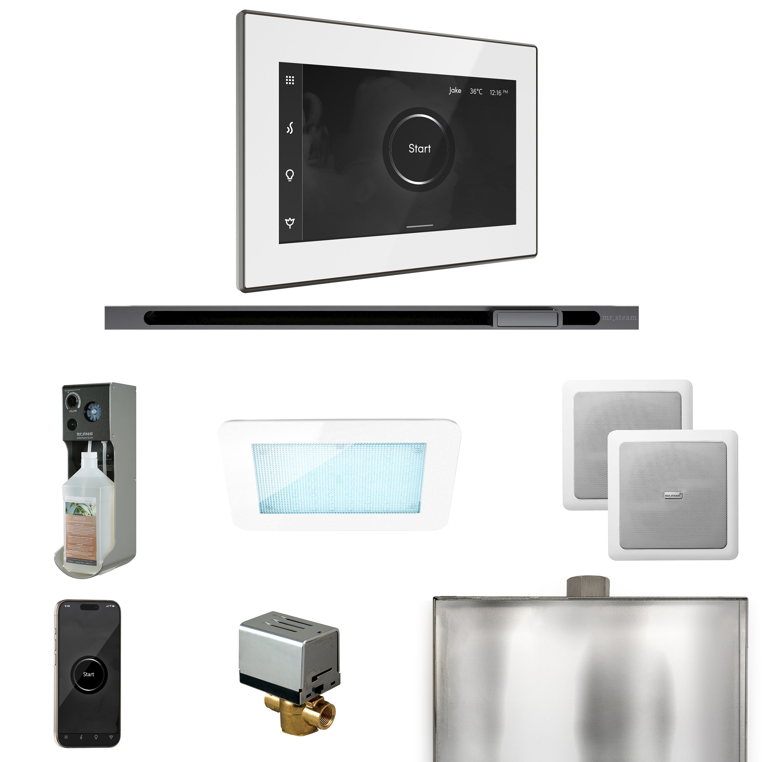 Mr Steam XDream Steam Shower Control Package with iSteamX Control and Linear Steamhead
