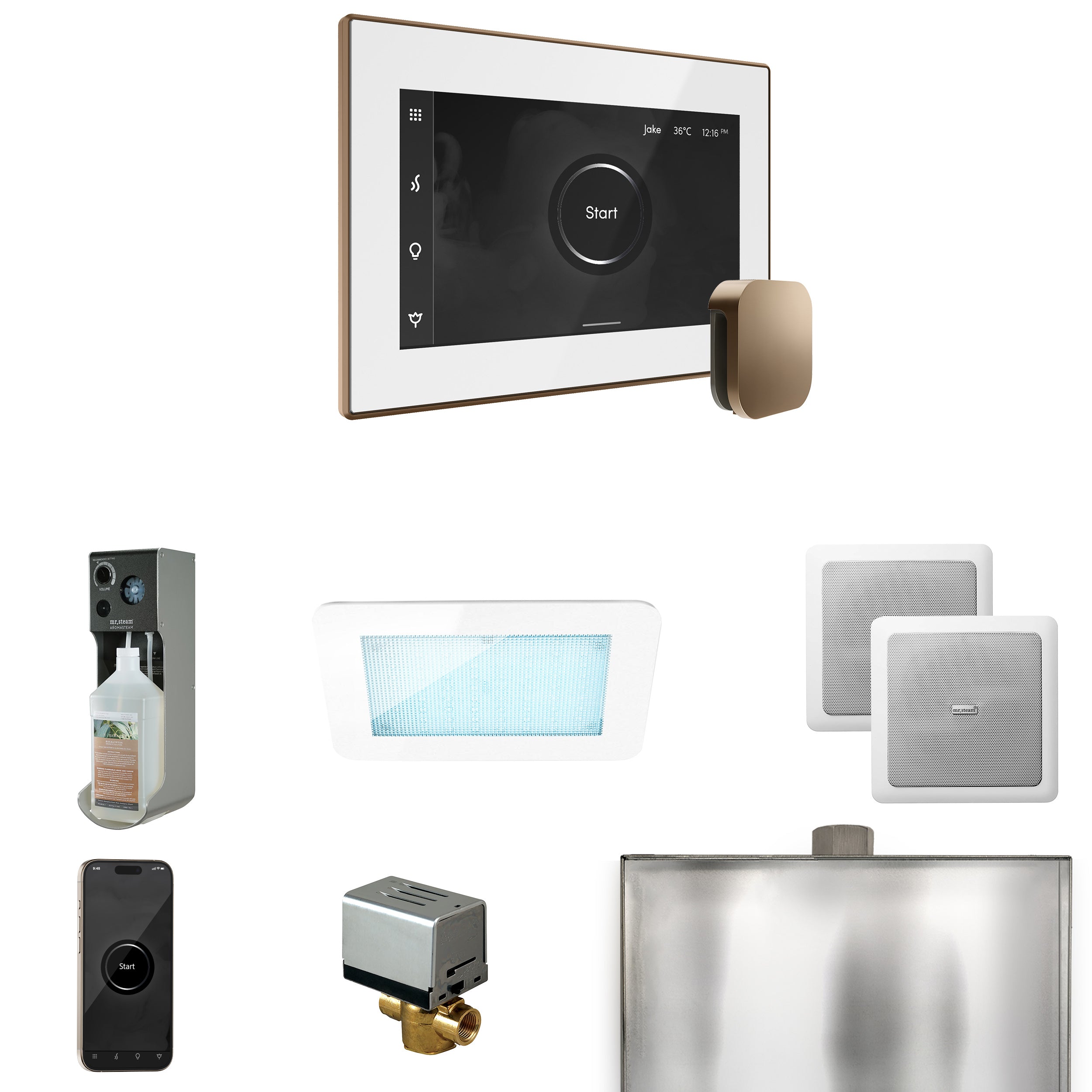 Mr Steam XDream Steam Shower Control Package with iSteamX Control and Steamhead