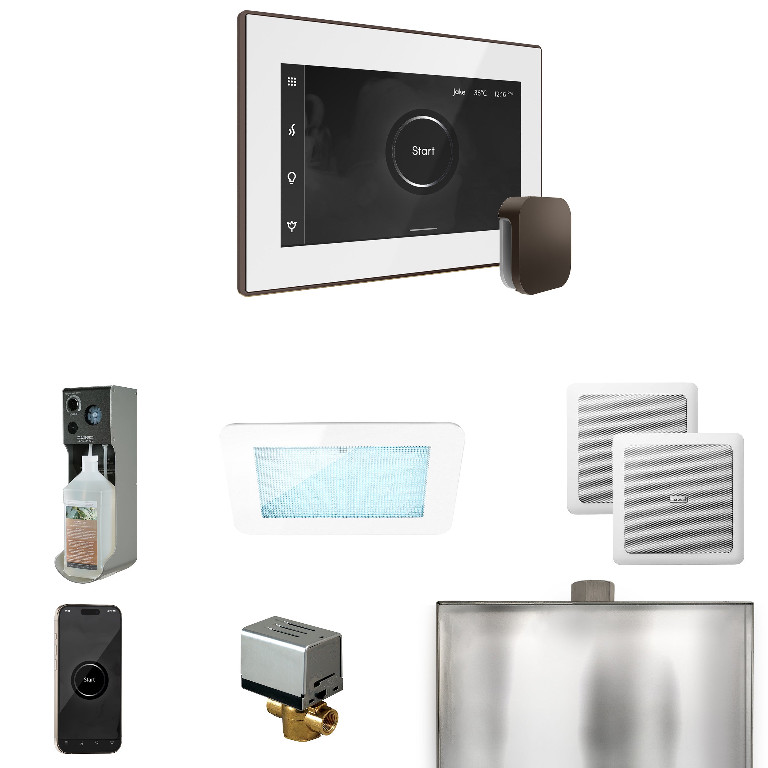Mr Steam XDream Steam Shower Control Package with iSteamX Control and Steamhead